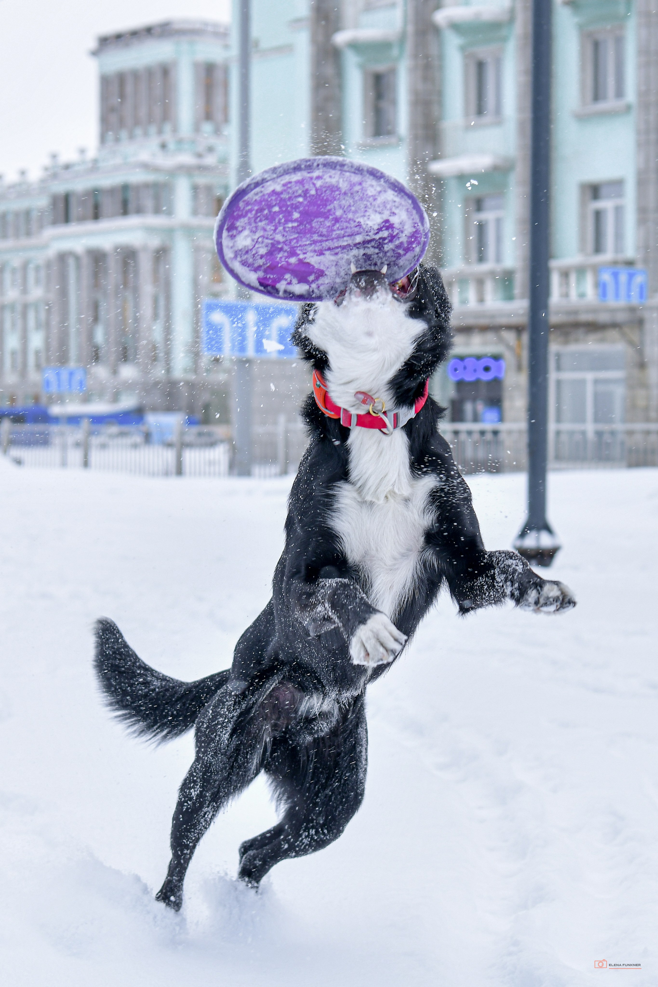 Зима. Свой взгляд через объектив