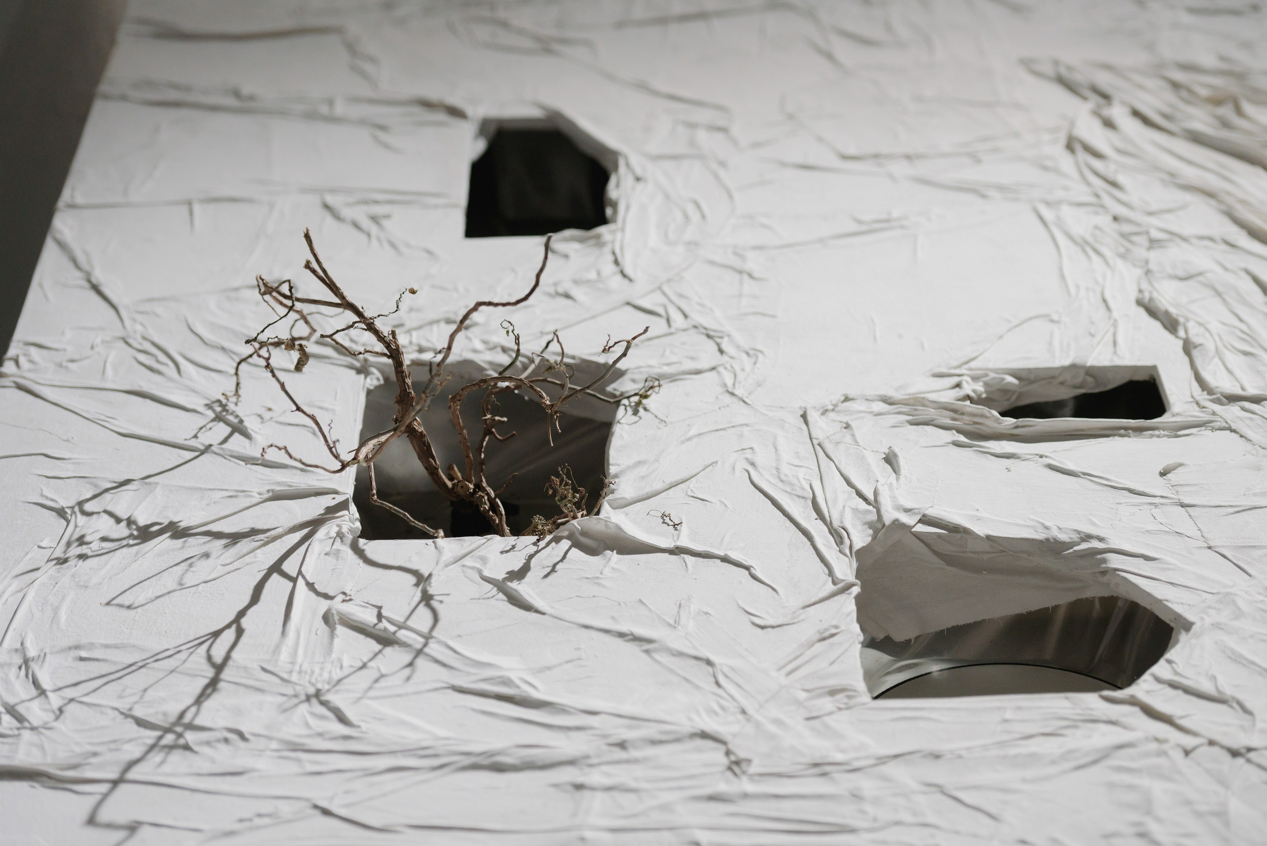 Выставки. Фотограф Руслан Хафизов