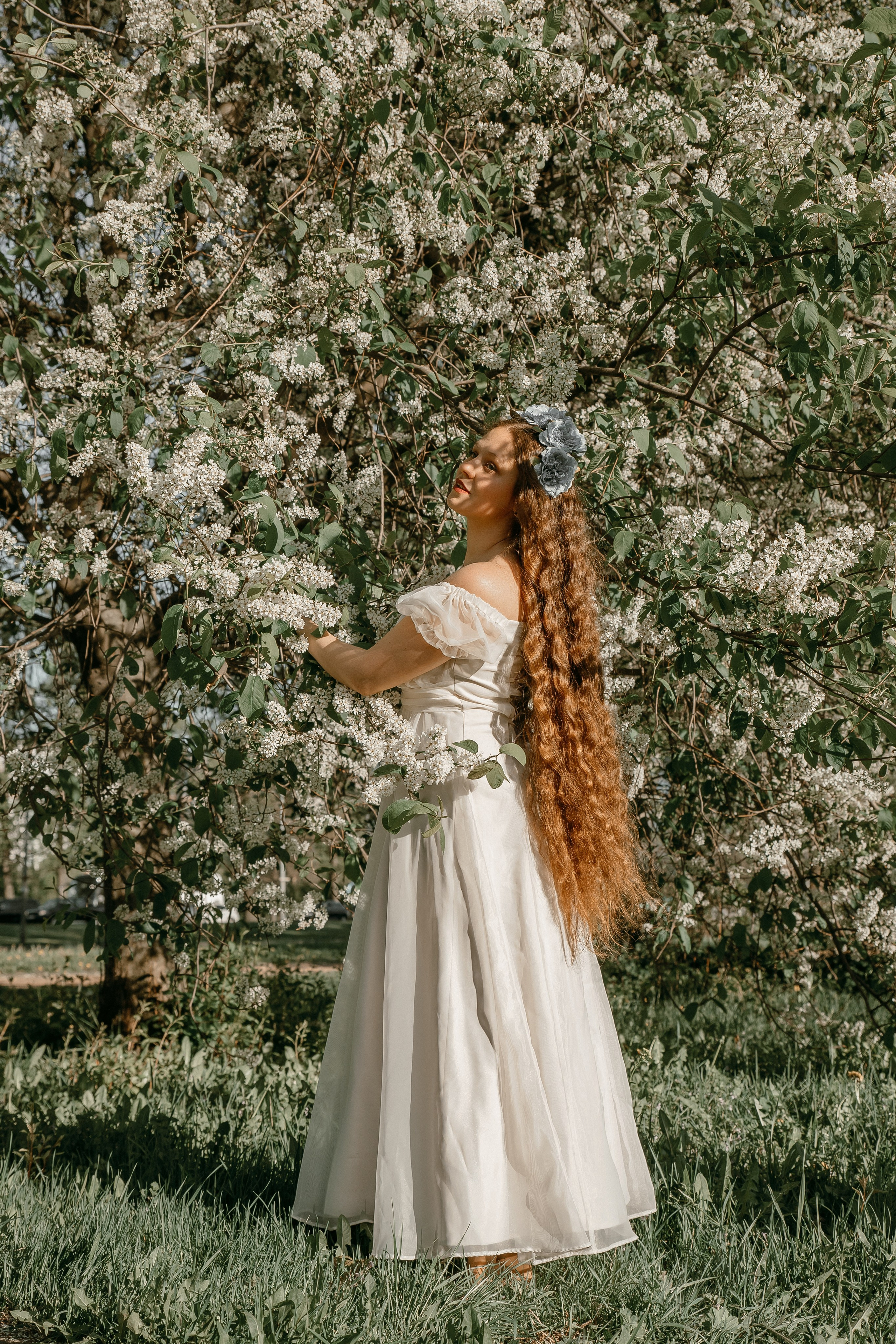 Белое цветение. Elena Sova — семейный и женский фотограф в Санкт-Петербурге