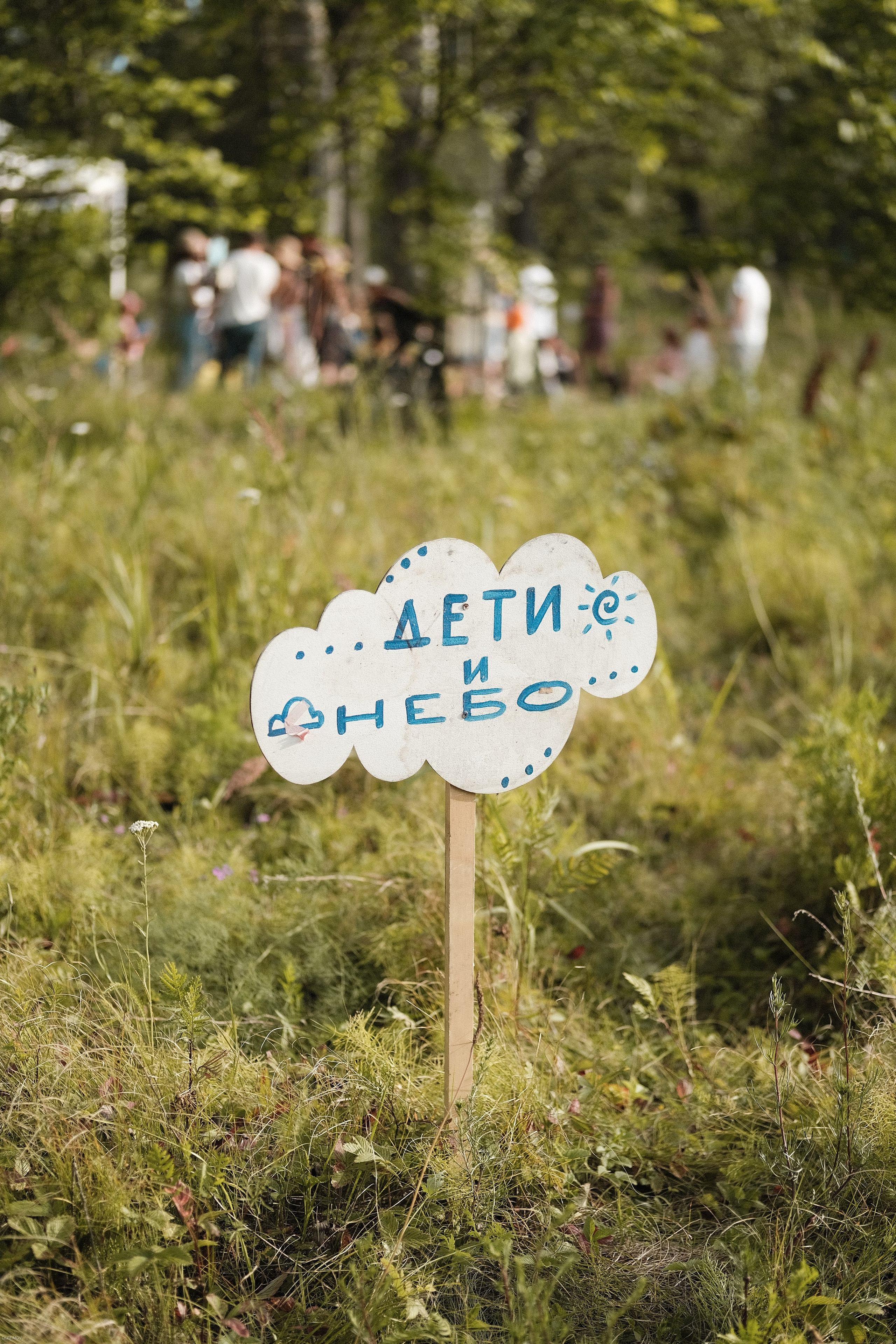 Эко-фестиваль АртЛуга 2023. LIYALEE PHOTO