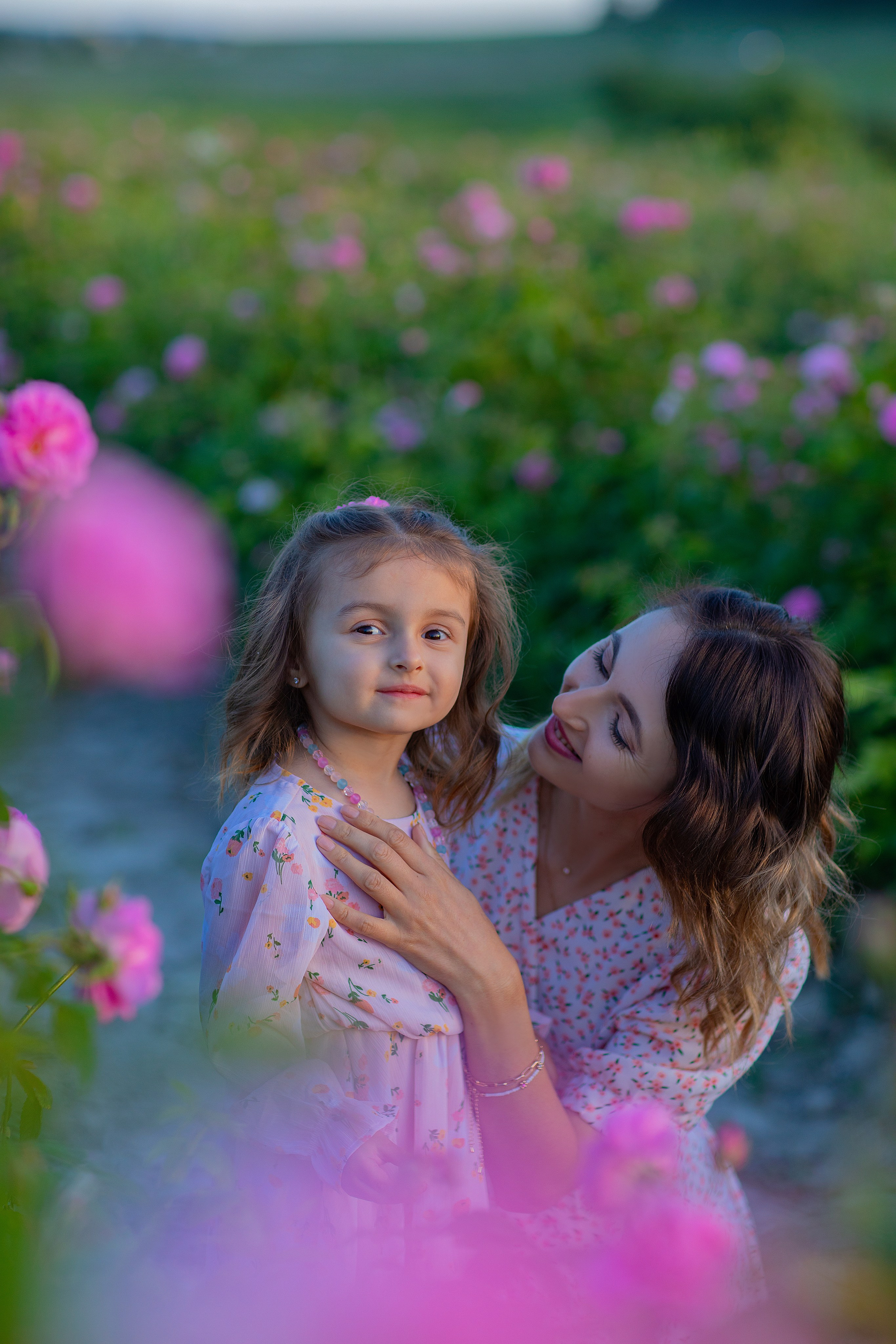 Чайная роза. Фотограф Севастополь/Крым Светлана Евтушенко