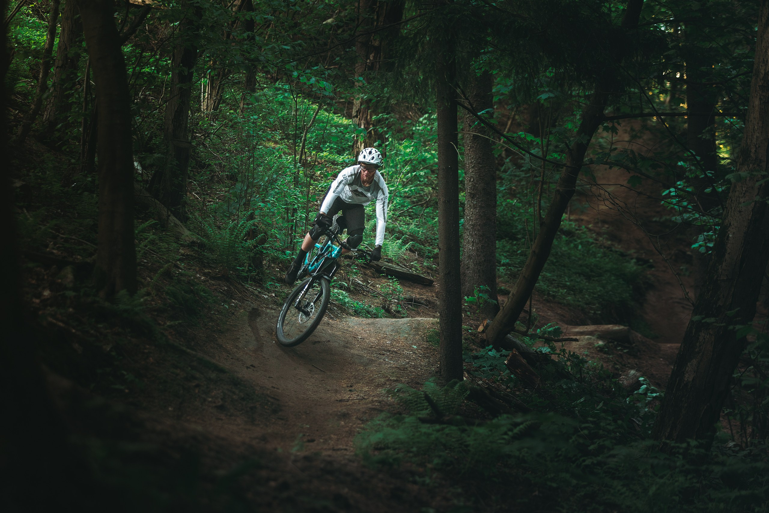 Саша и Ваня. Фотограф анималист Никита Натальный