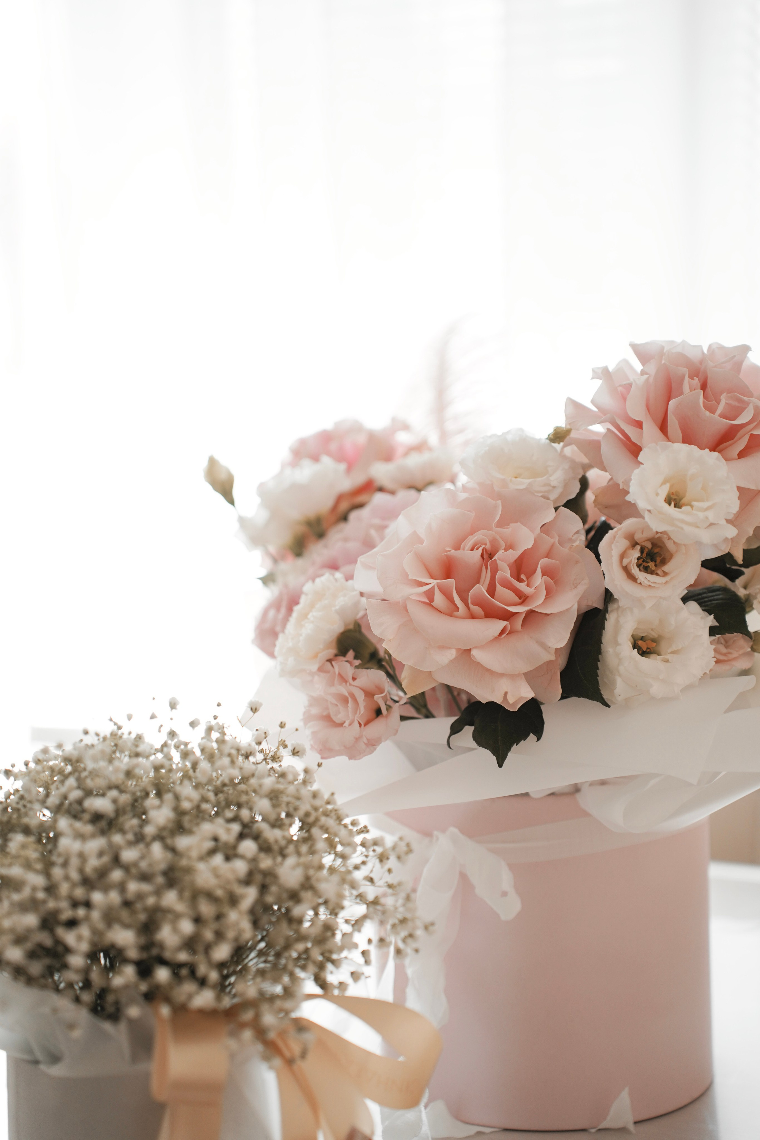 Выписка из роддома. Универсальный фотограф в Геленджике Сидорина Кристина