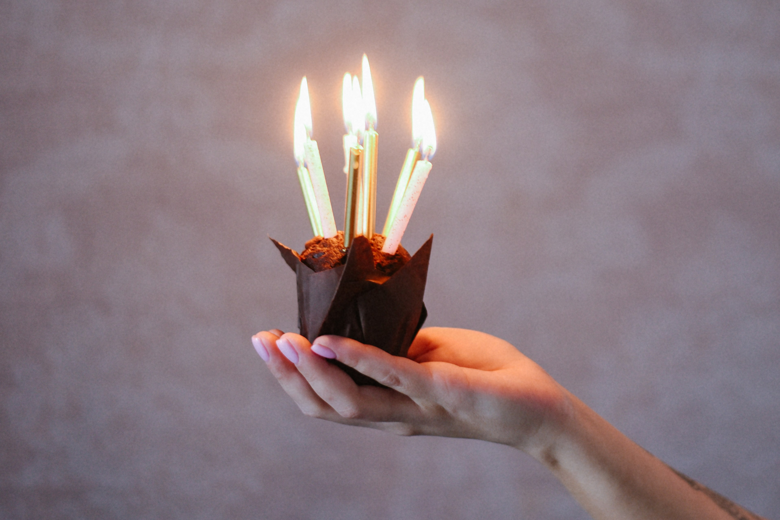 ARBAT HOUSE HOTEL. Фотограф Лола Волна, город Москва