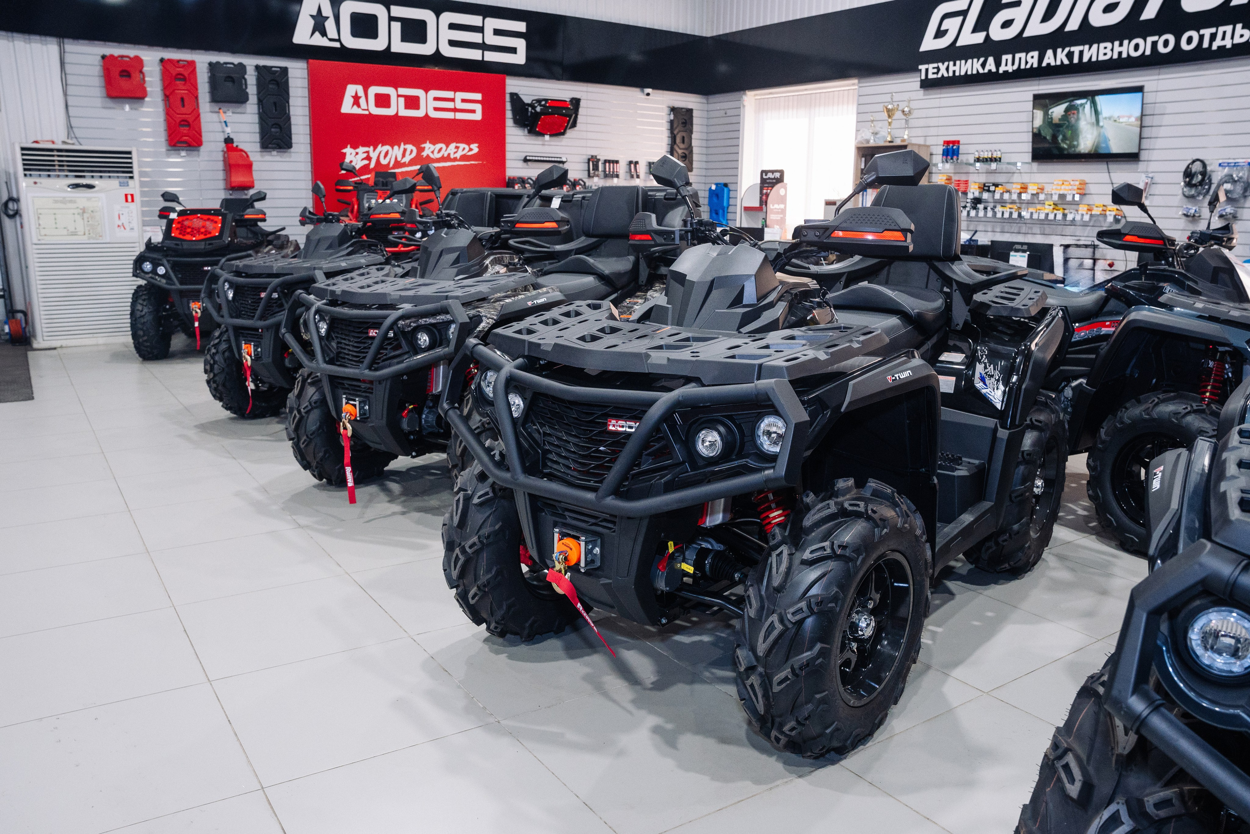 GLADIATOR. Фотограф Хабаровск