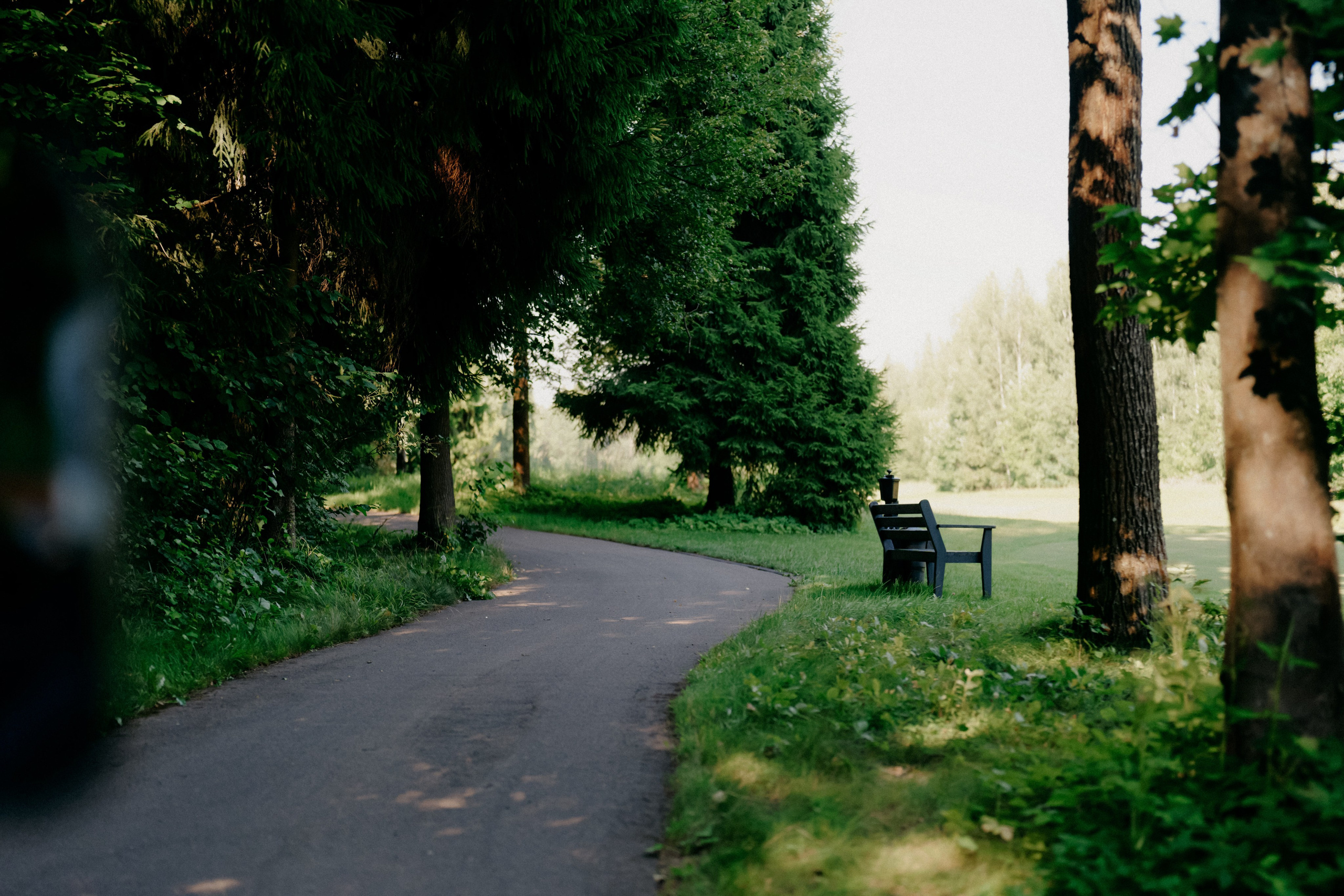 Целеево. Фотограф в Москве Дмитрий Рогов