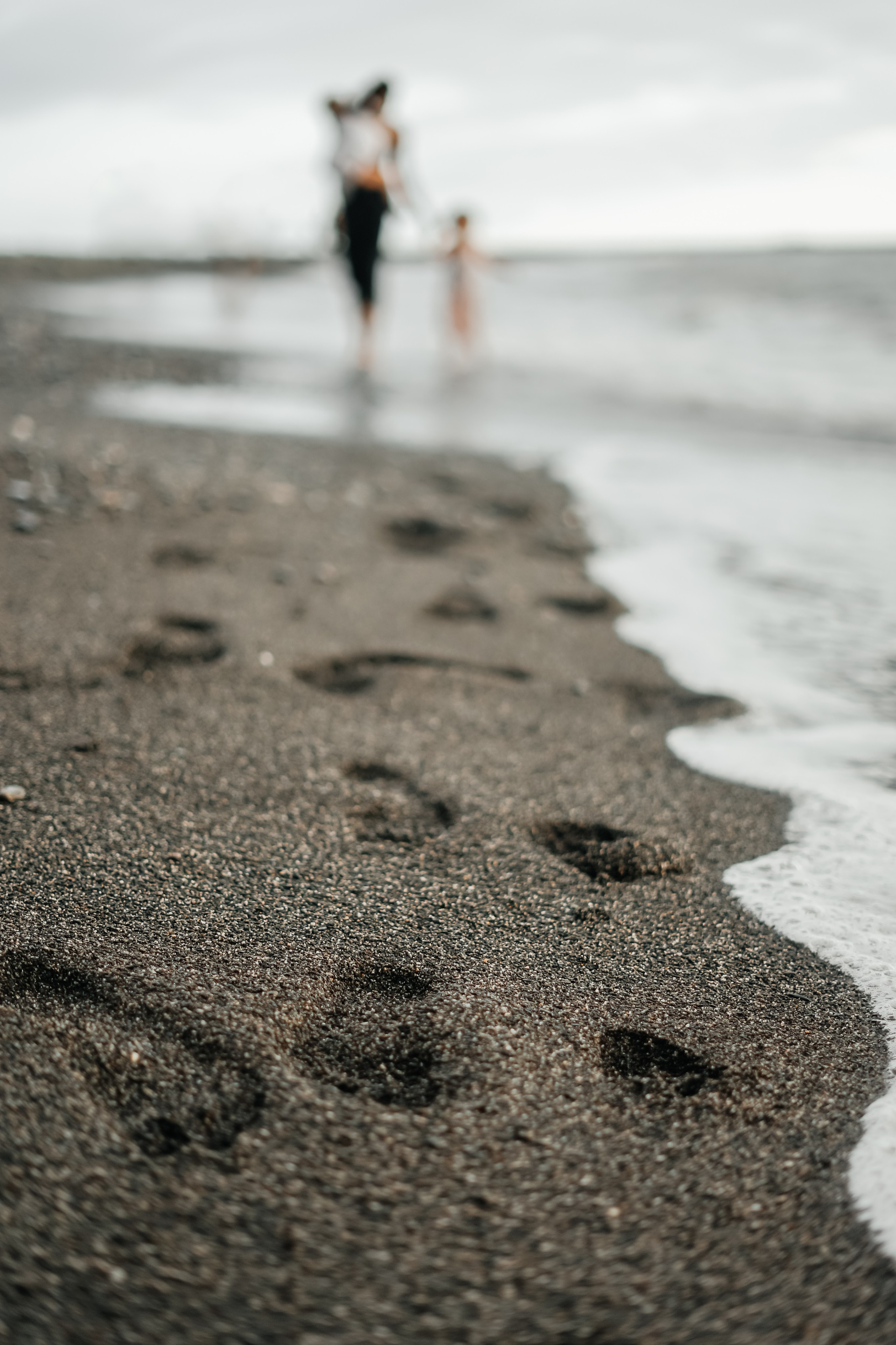Сестры и их дочки. Главная
