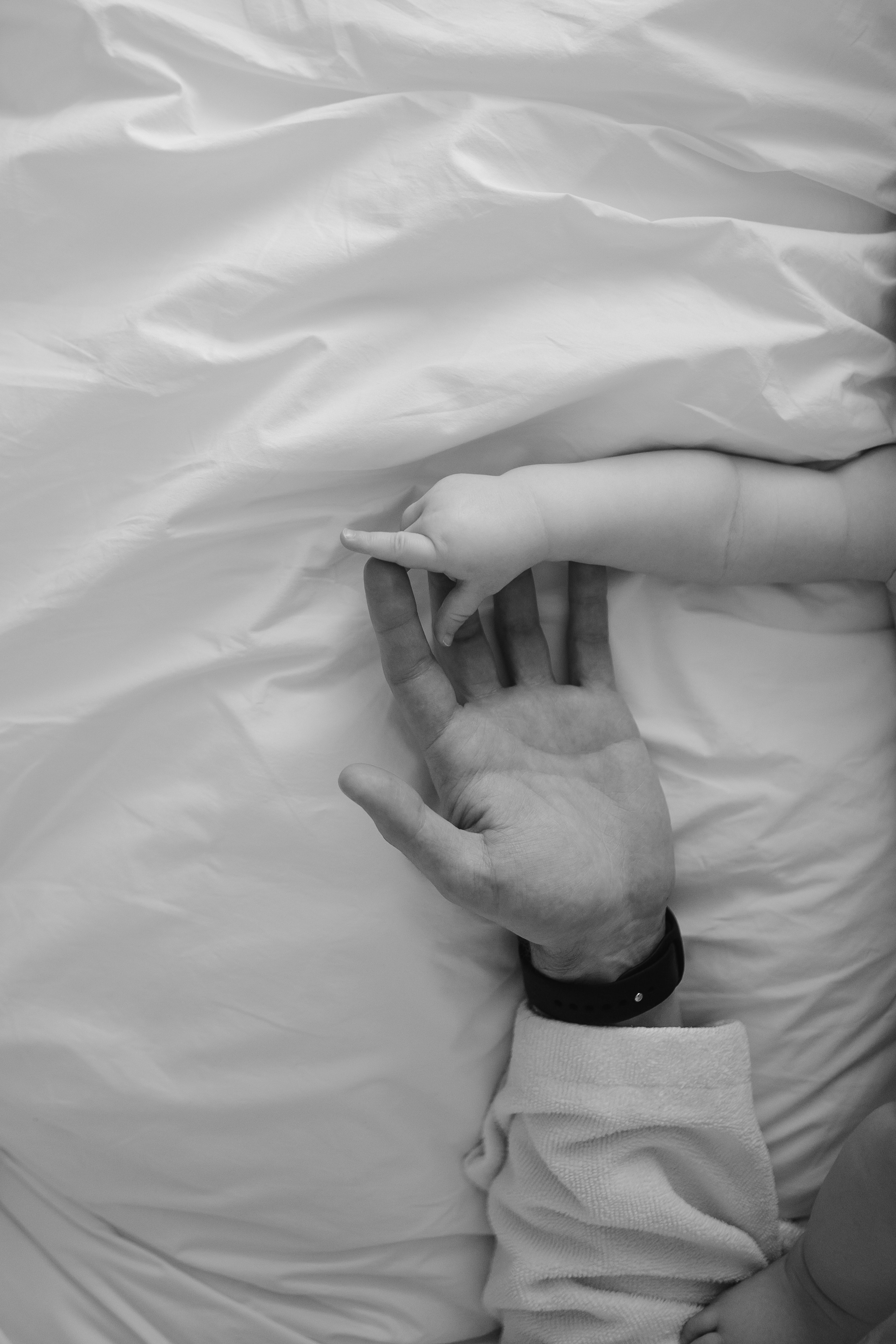 Семья Кирилла и Ольги. Главная