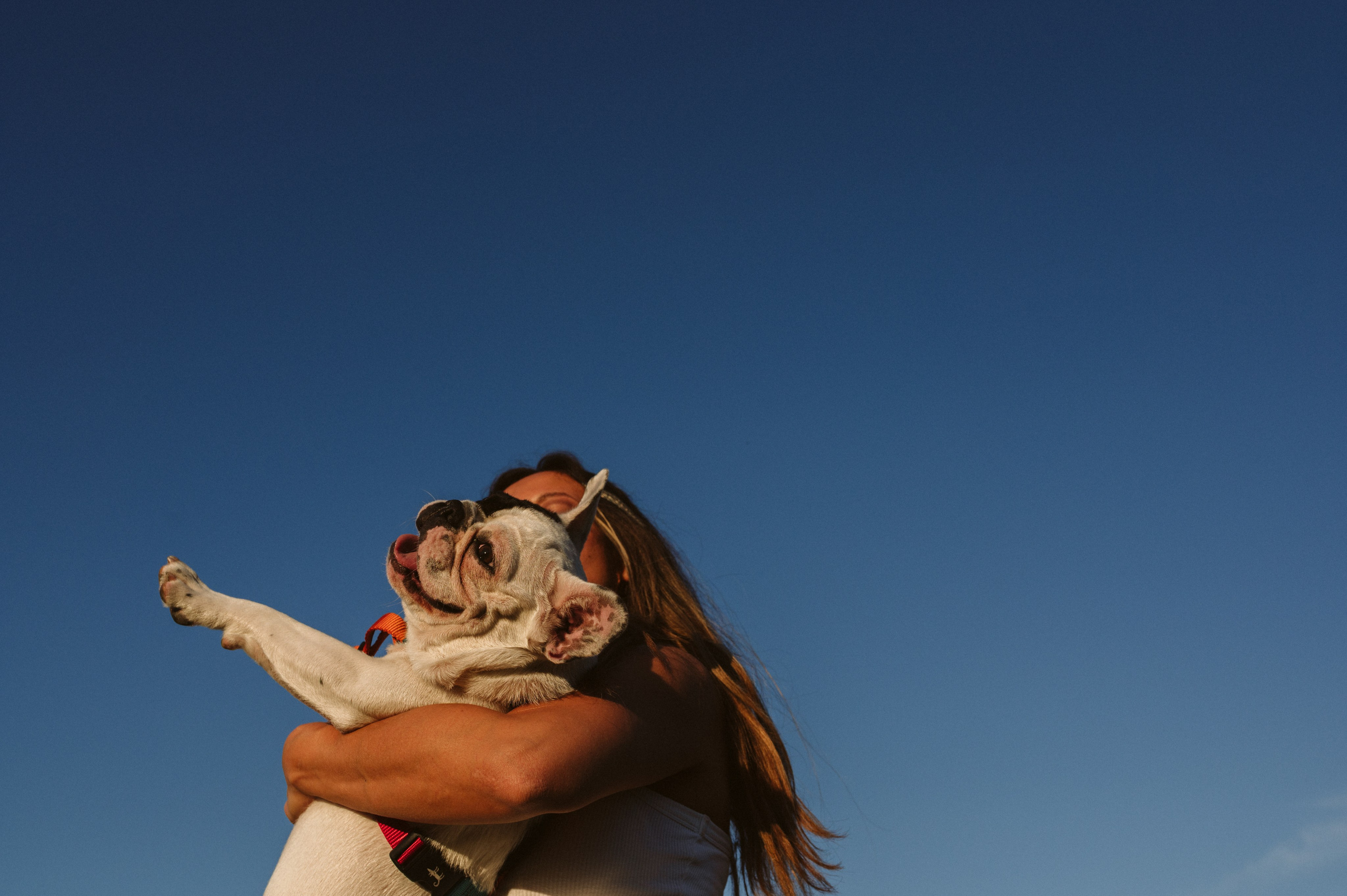 Инна и Белль. Фотограф анималист в Москве Ольга Агушева