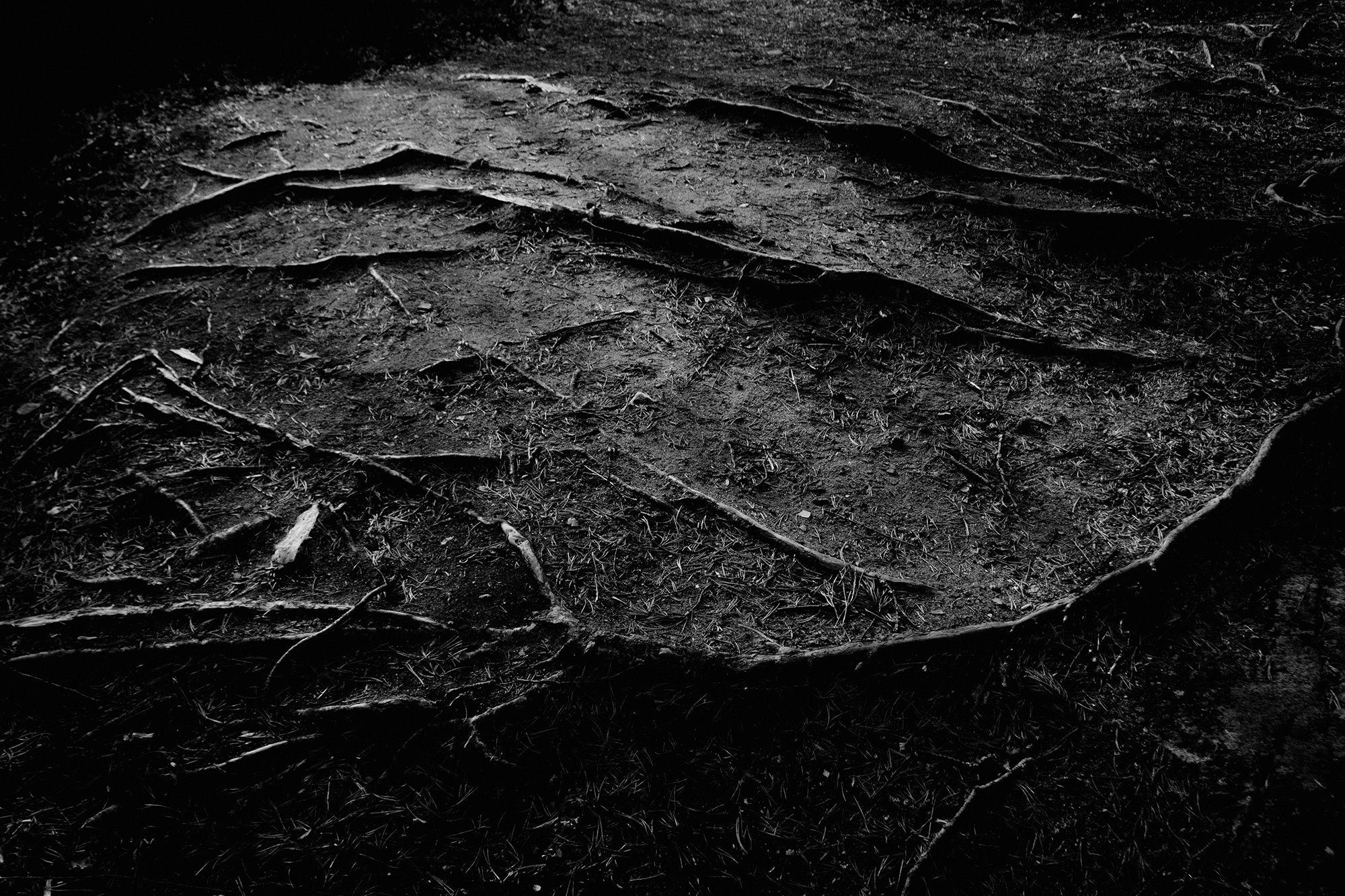 № 8. WAYHAY — Портретный фотограф