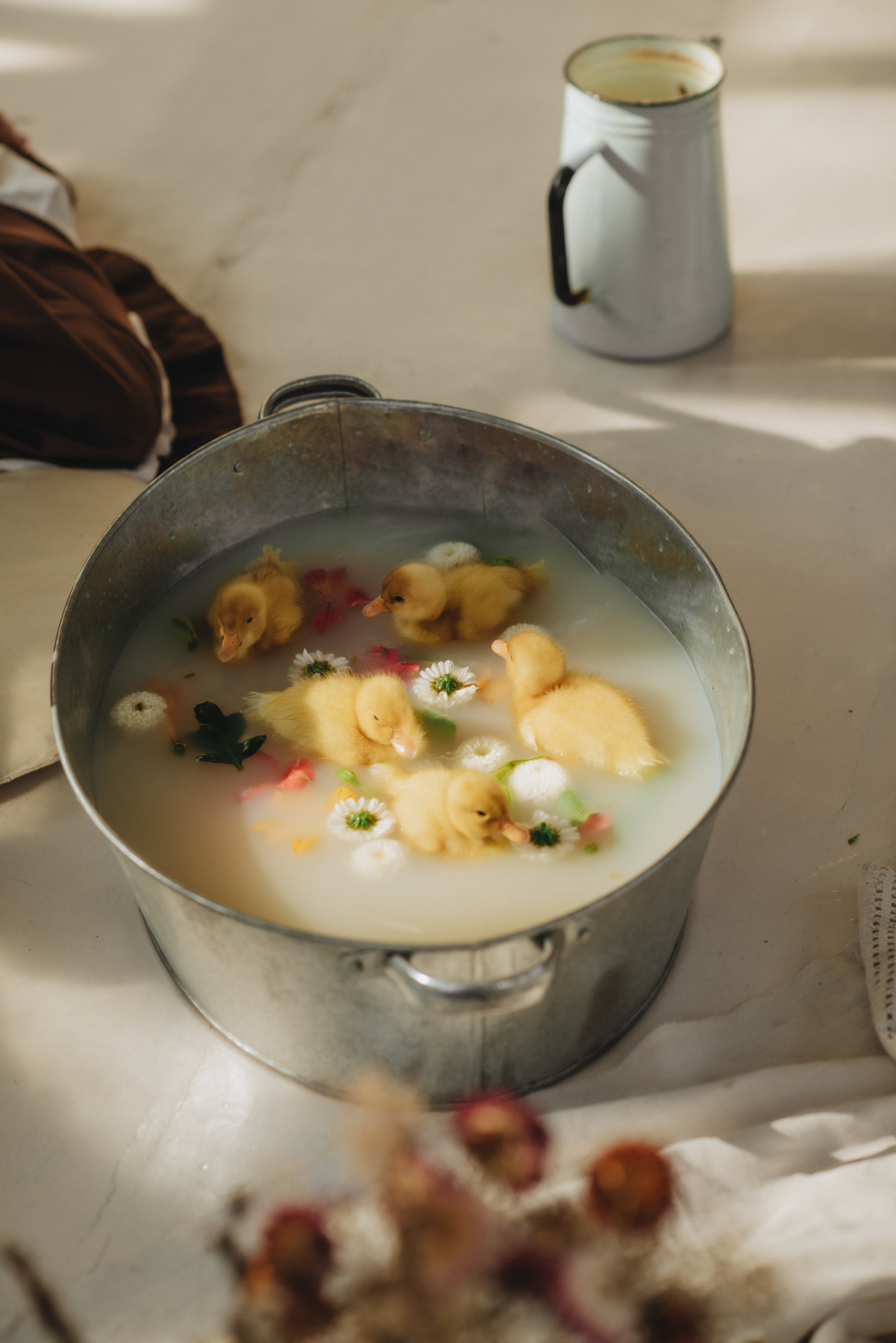 Арина и Утята. Свадебный и семейный фотограф в Курске Мария Бойку