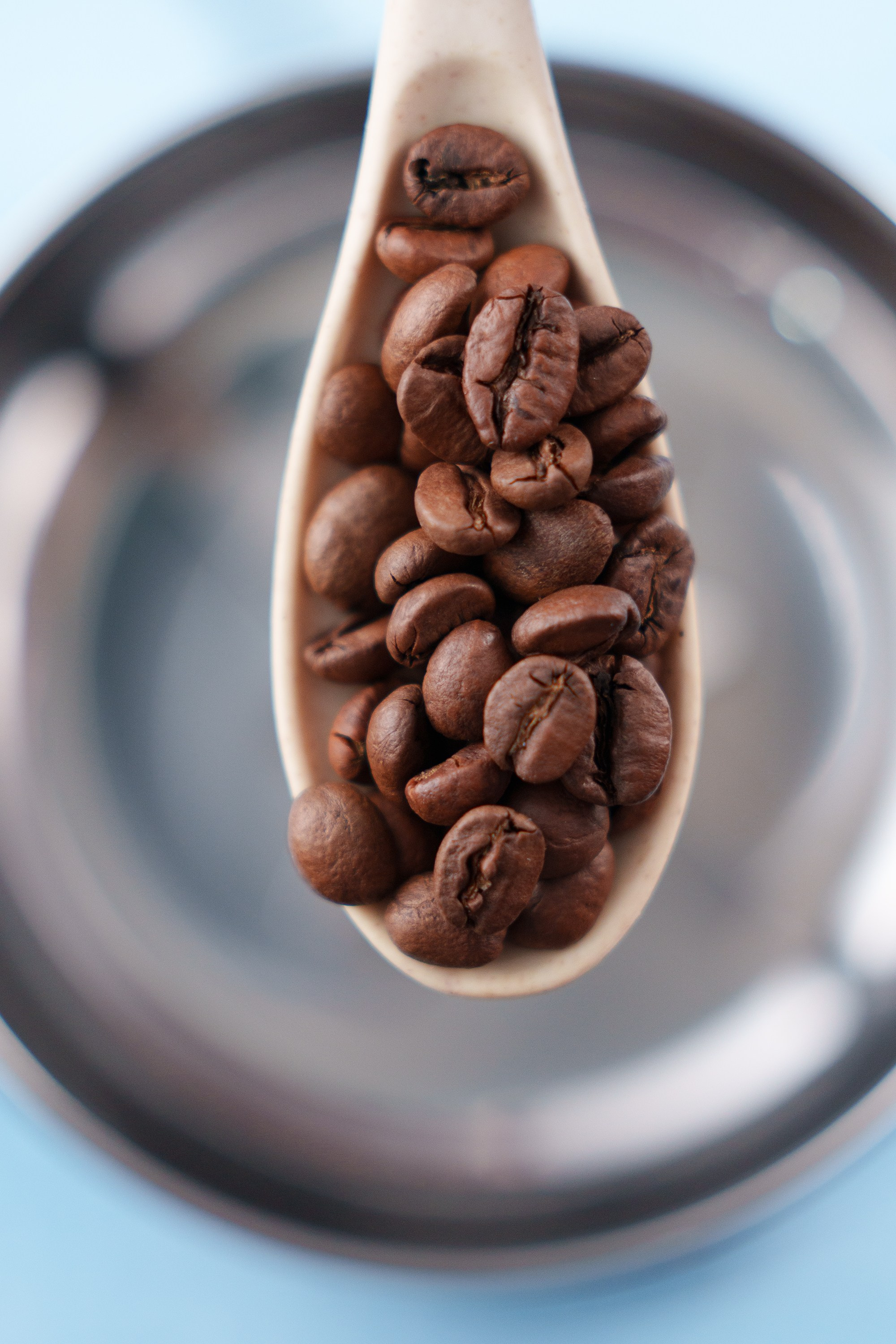 Предметка. Фотограф. Москва