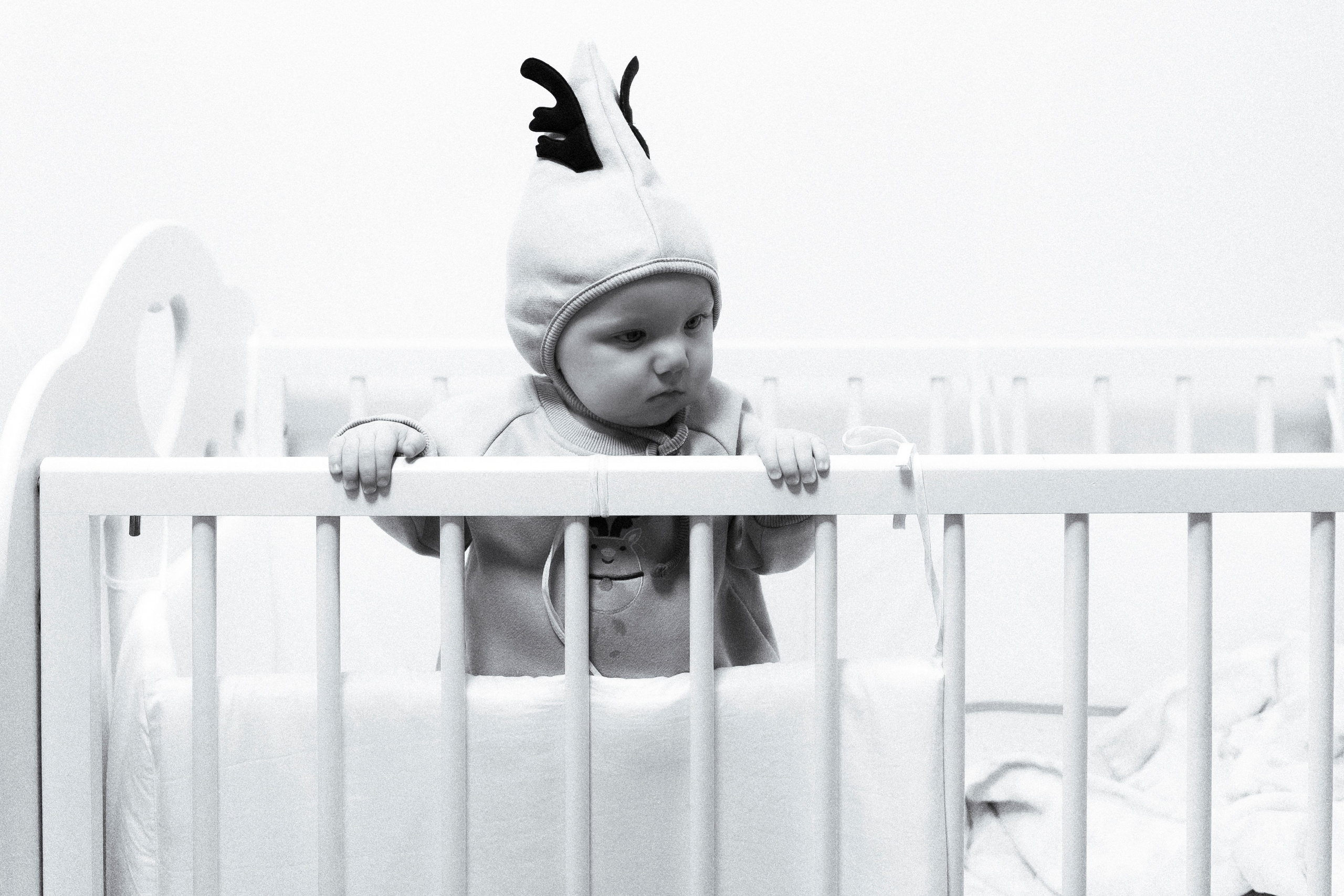 Новогодние тройняшки. Главная