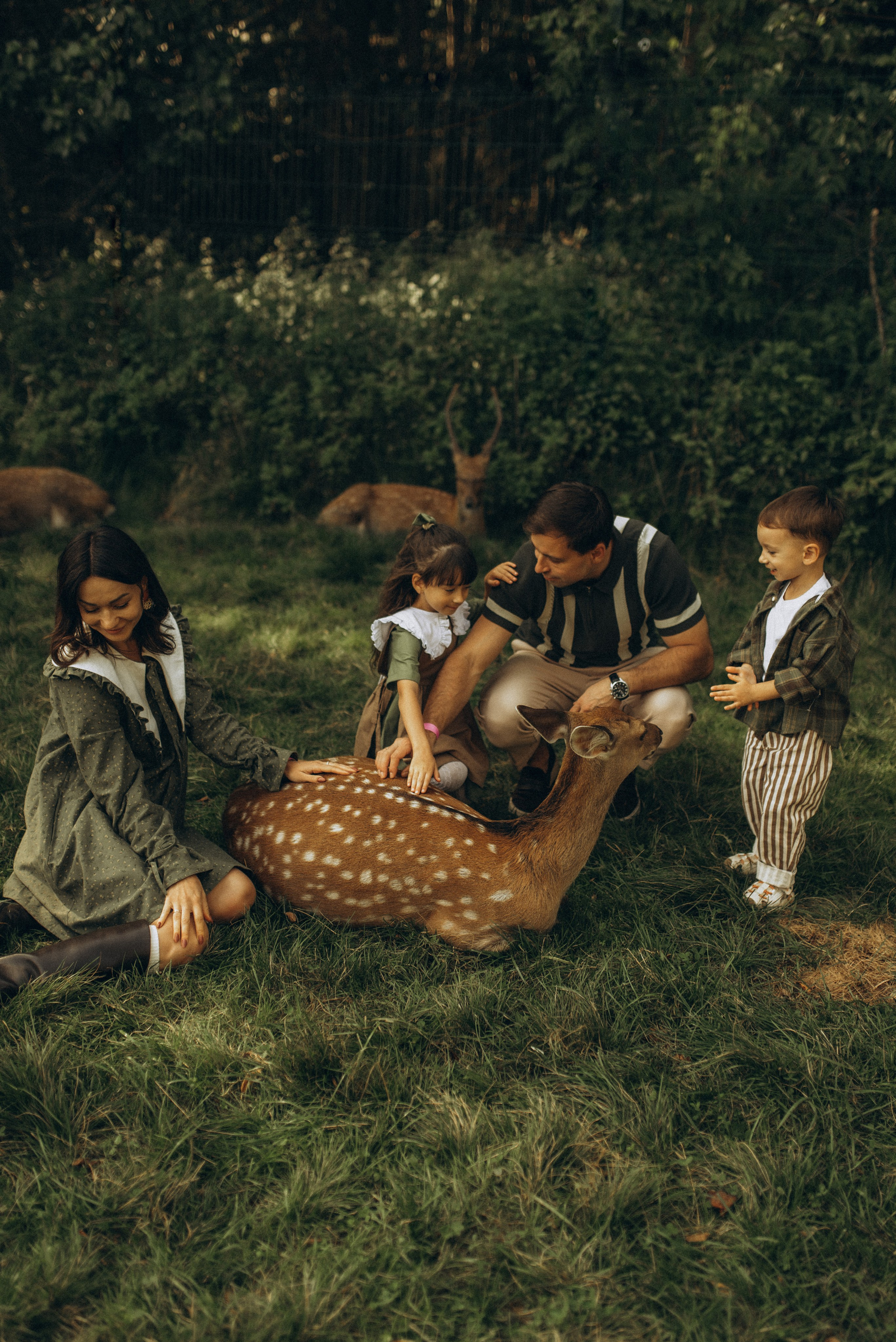 Прогулка к оленям. Семейный фотограф в Москве Екатерина Север