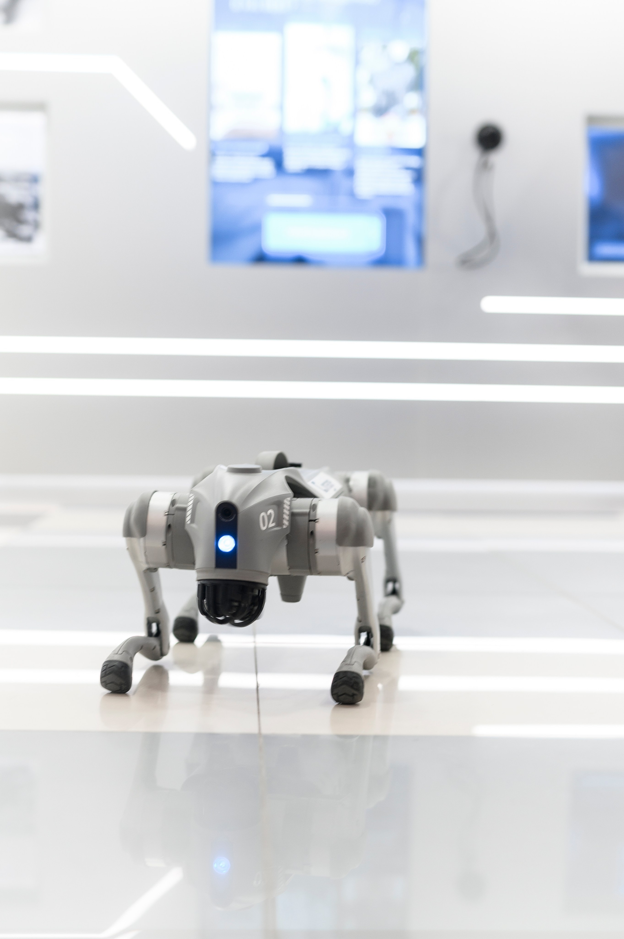 Конференция. Фотограф Москва Софа Ревчук