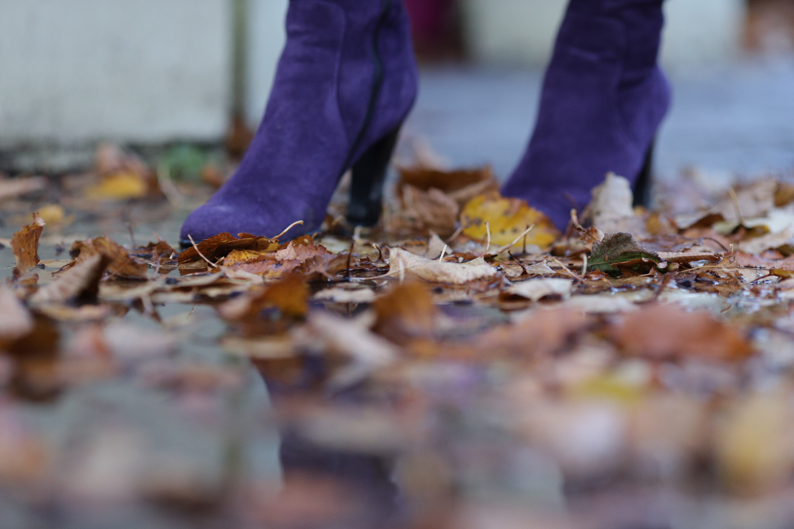 Фотограф Анна Вертяховская