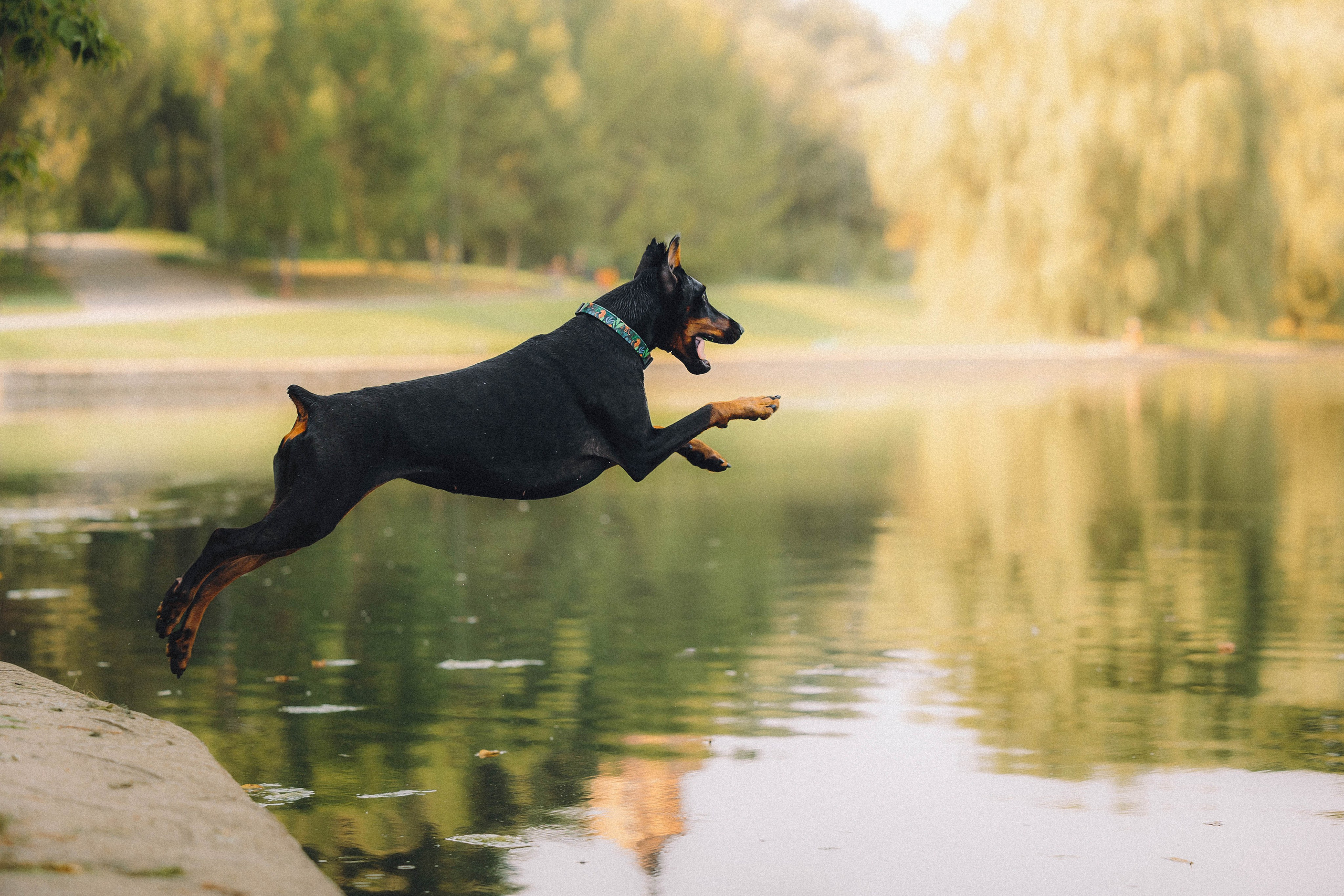Паша и Хайди