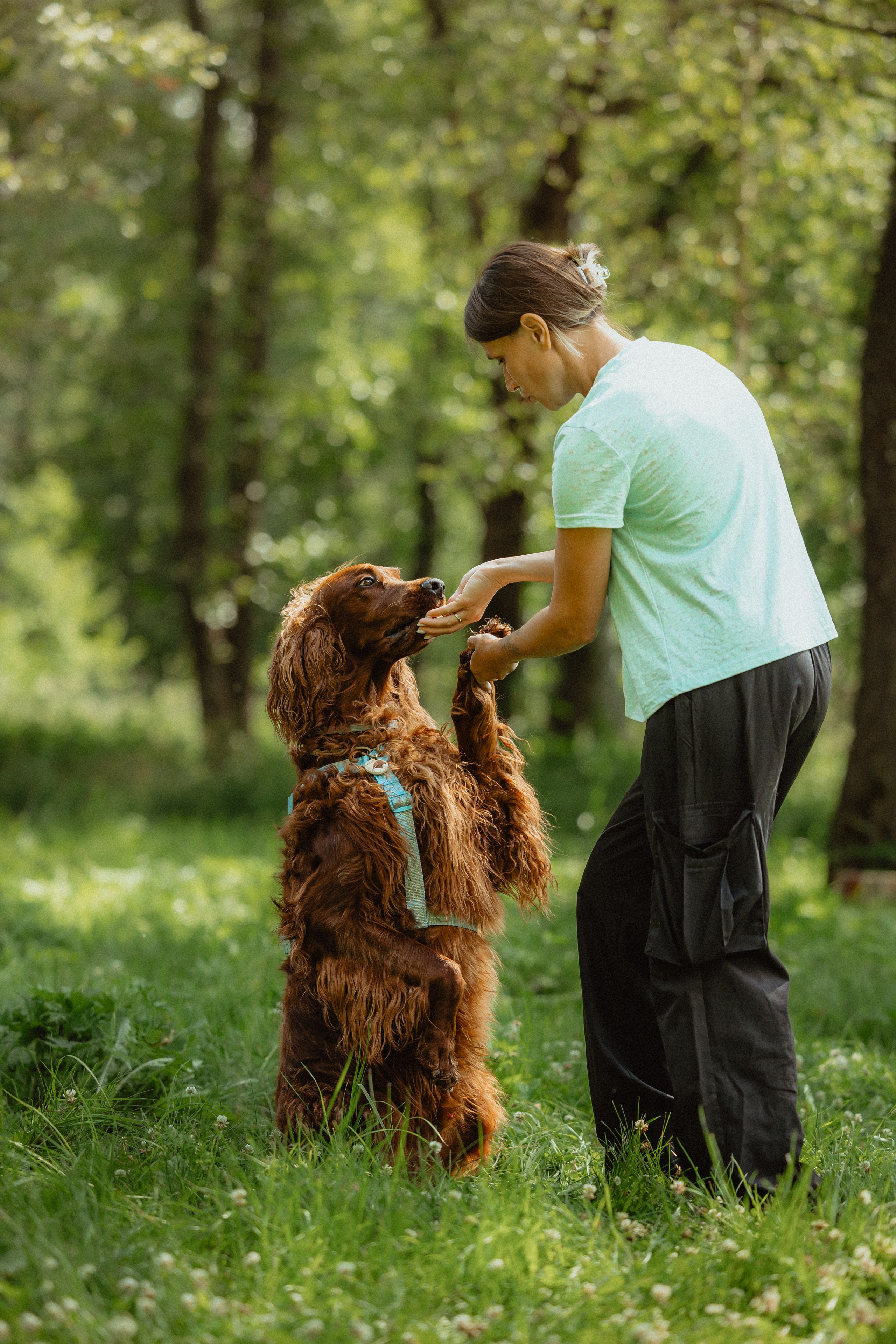 Выездной дог-тренинг от школы «Шерсть имею»