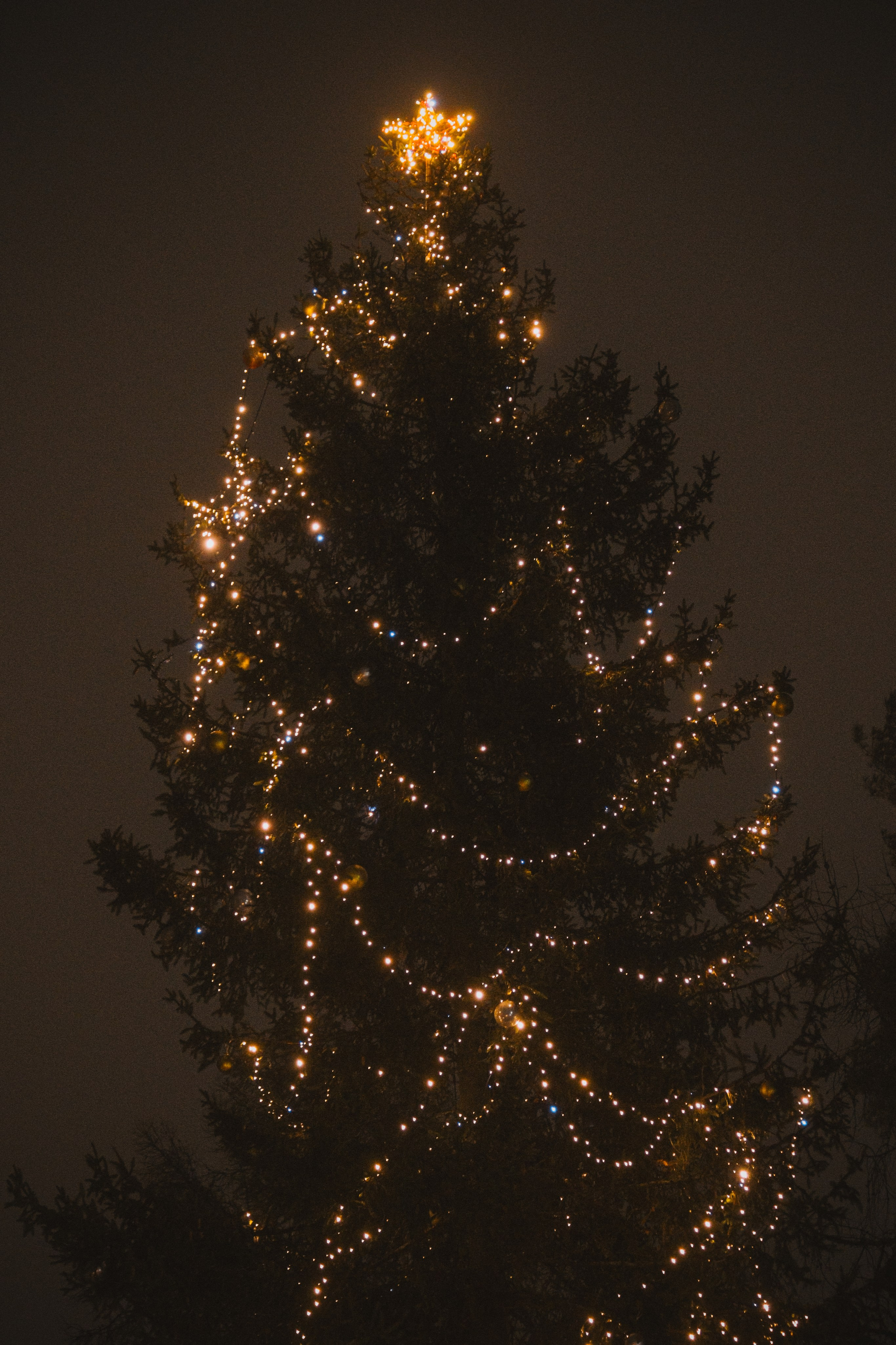 Н О Ч Н Ы Е. — Digital Noise —