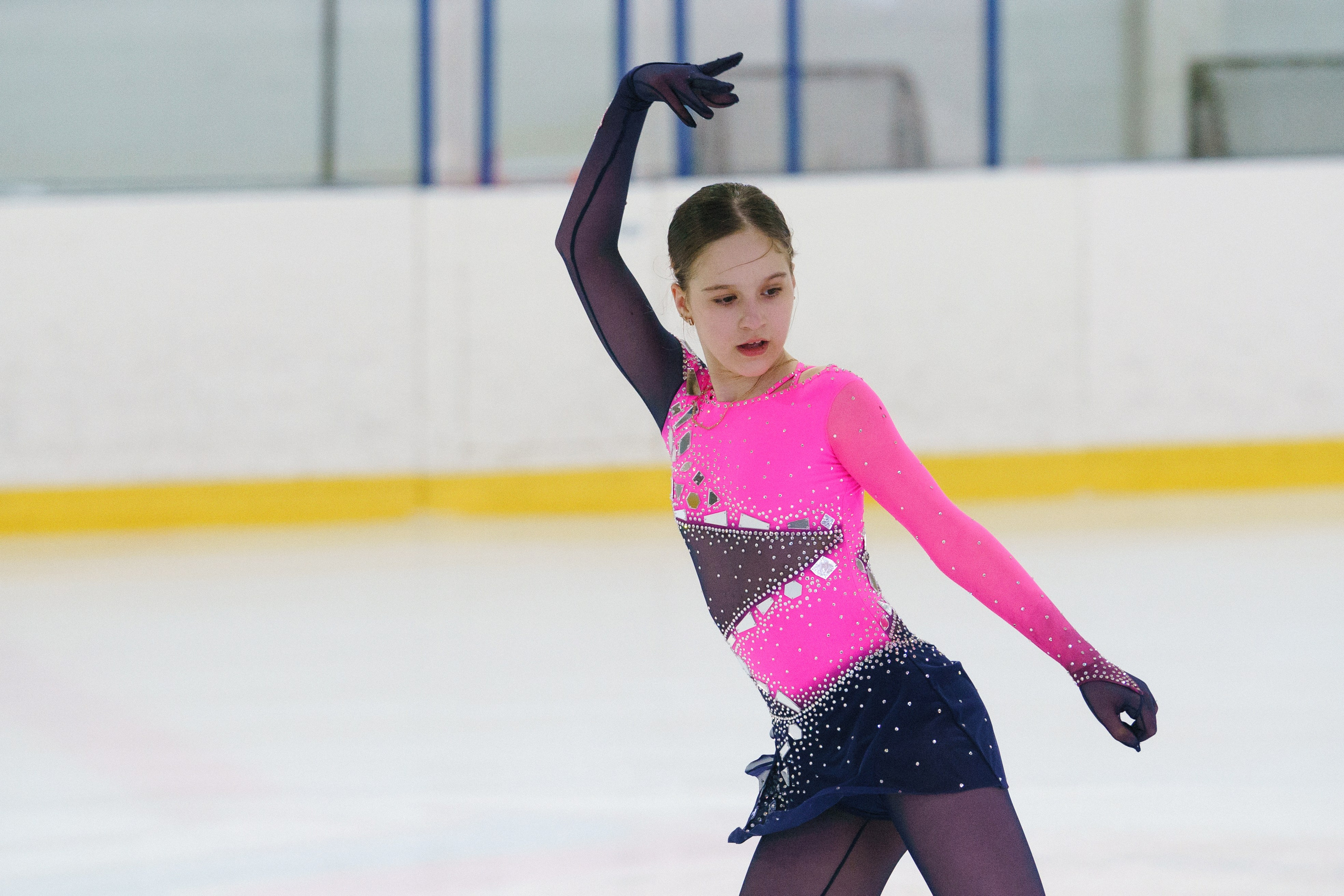 Соревнования ФКК «Майские звезды». Фотомастерская Воробьевых