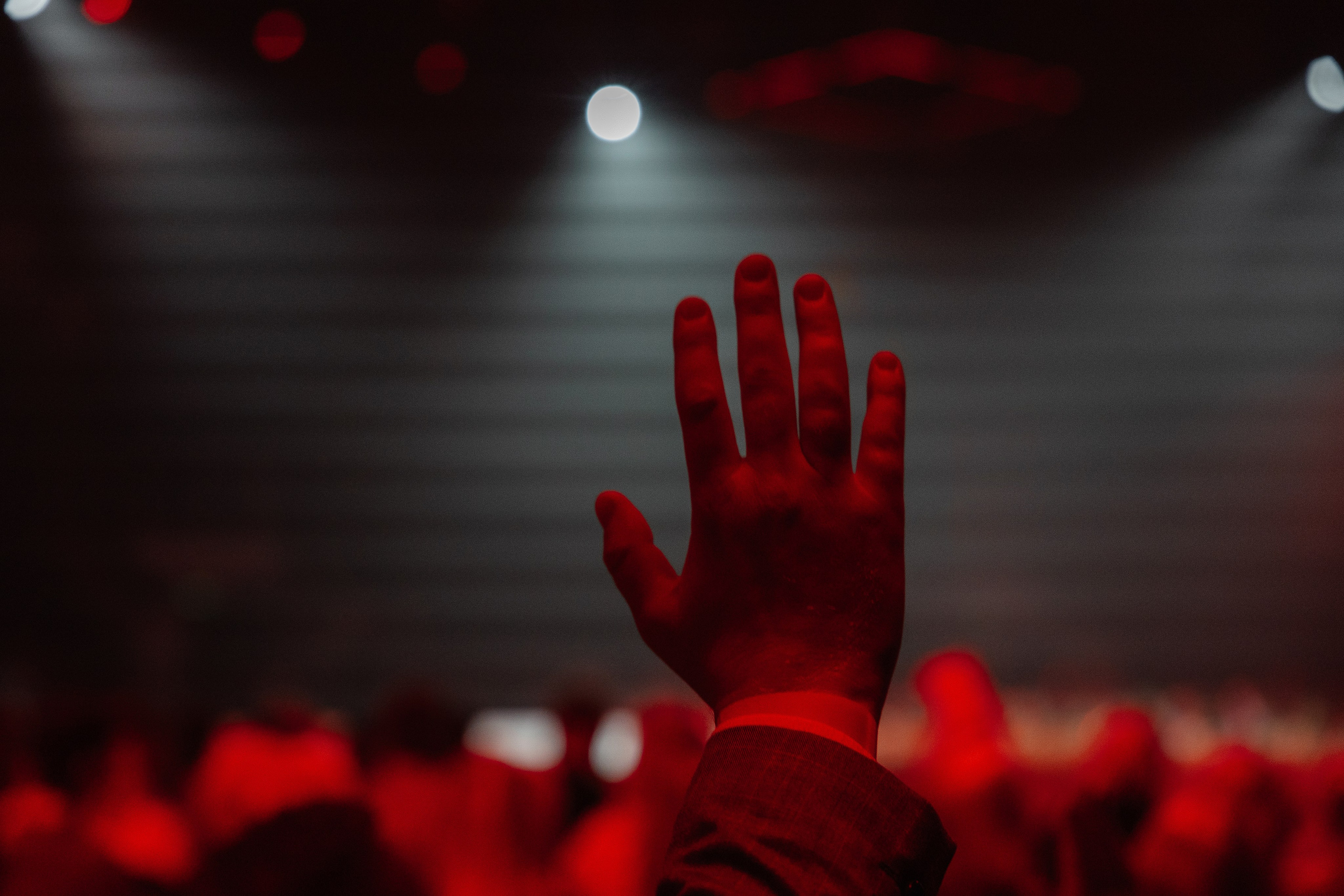 АЛЬФА КОНФА. Фотограф в Красноярске