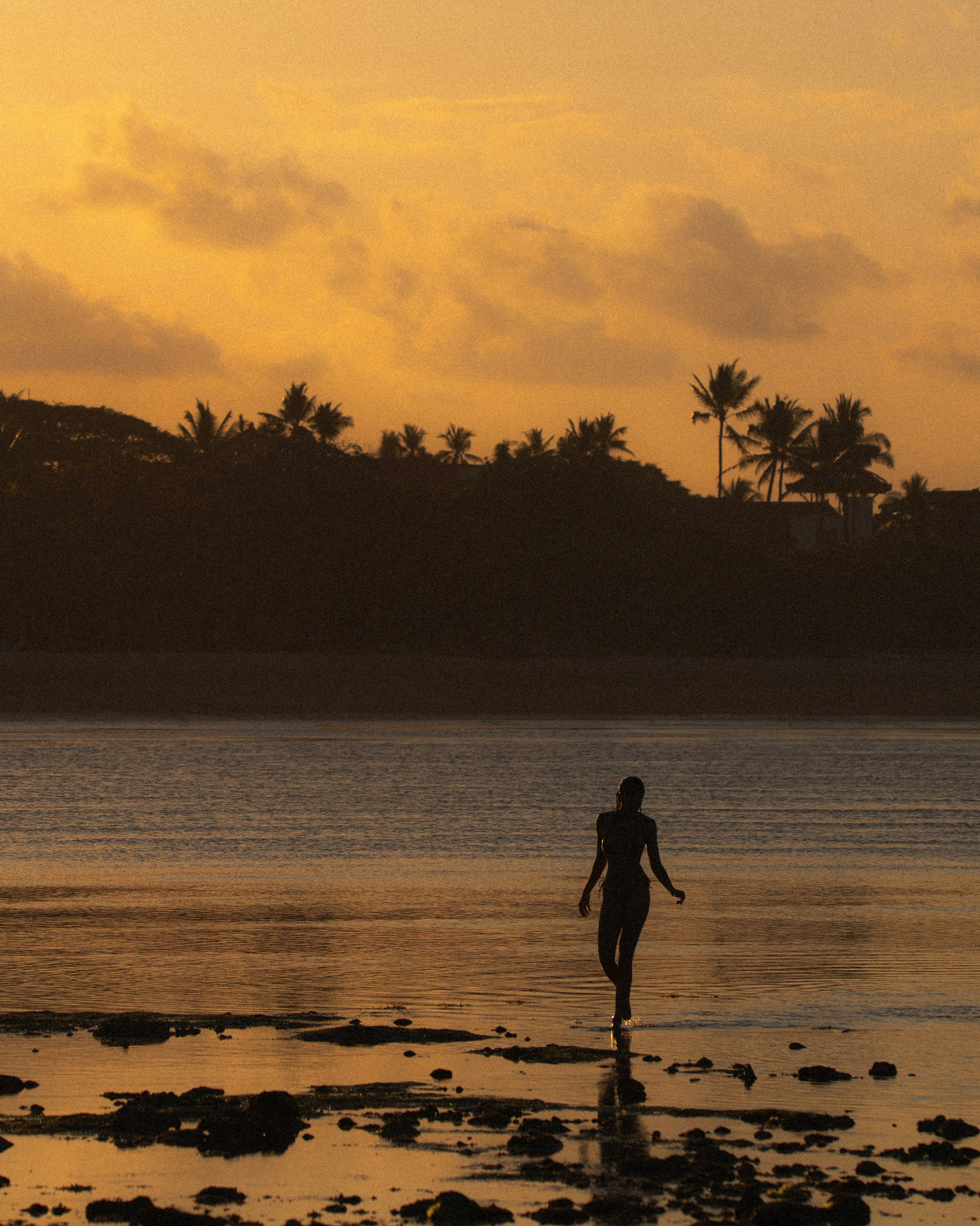 Портфолио. Фотограф Веремеев Александр