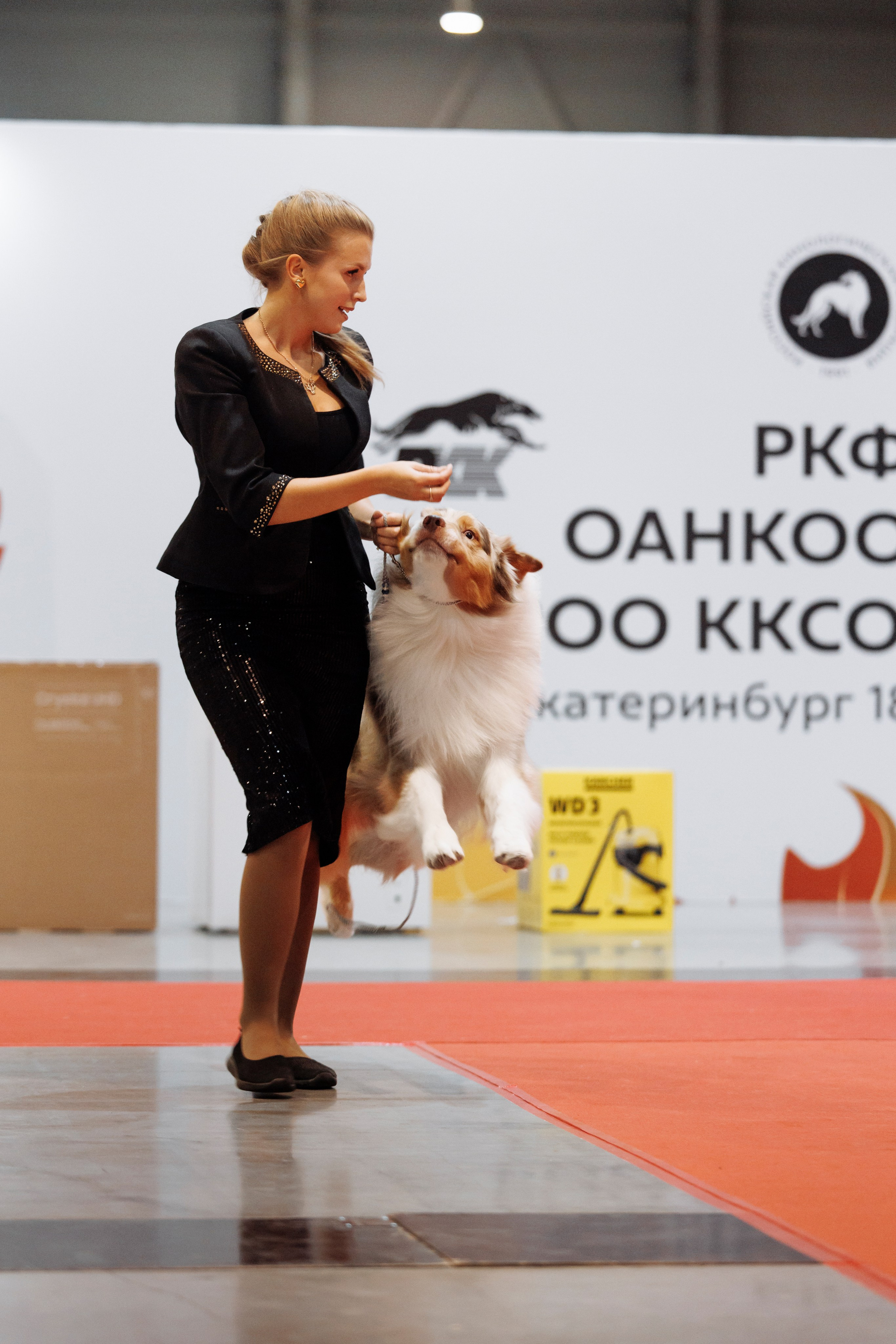 18/19.10.2025 — Екатеринбург. Фотограф-анималист Саша Вязьмина