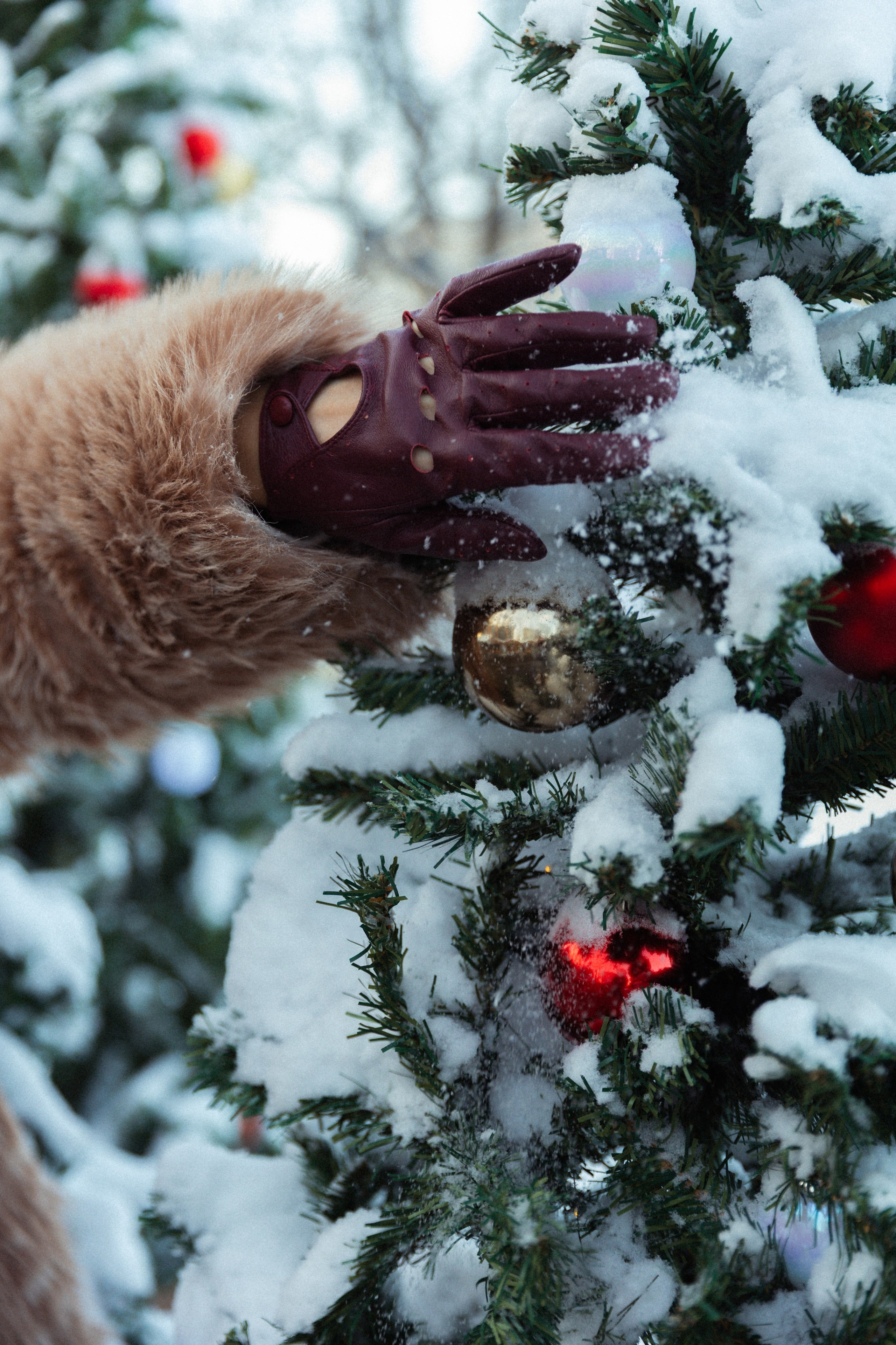 Таня. Фотограф в Нижнем Новгороде Воробьева Анжела