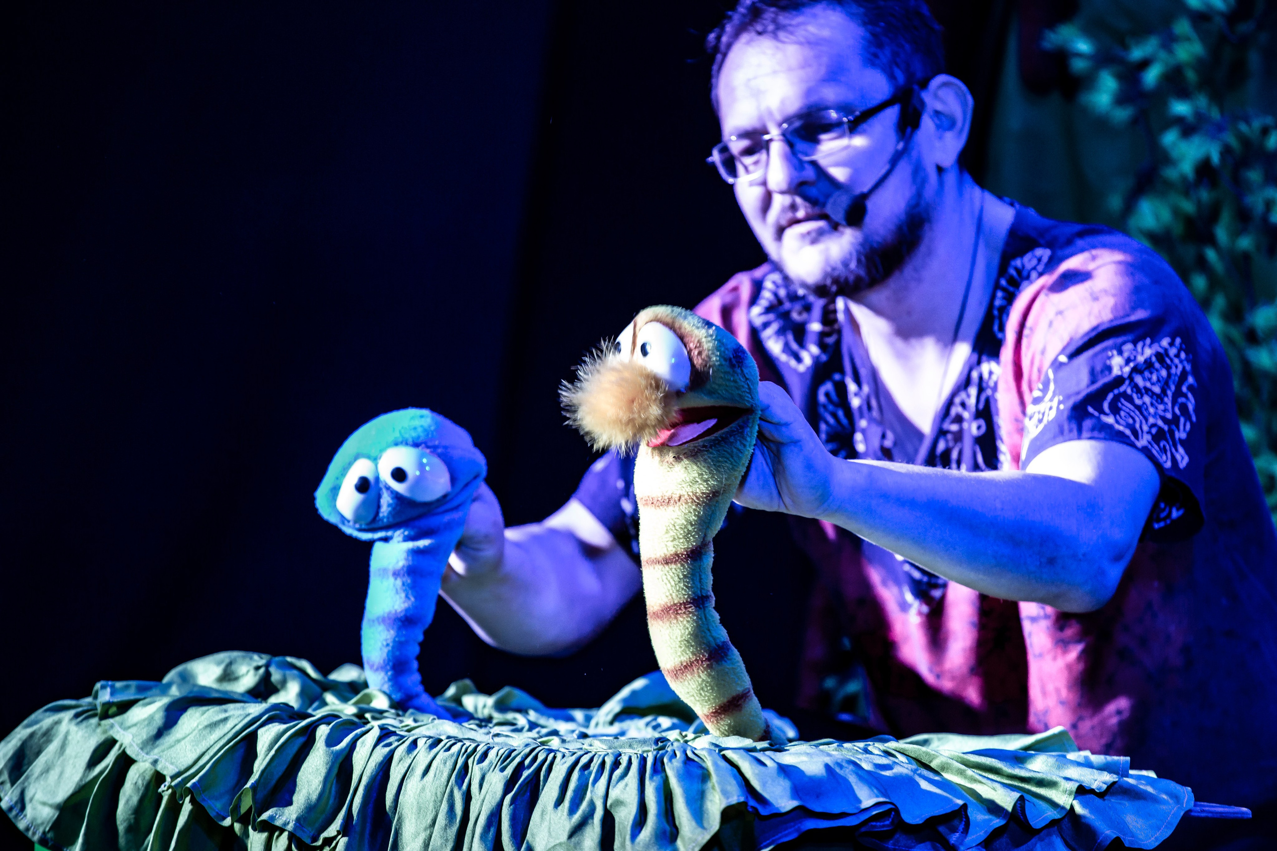 Любопытный слоненок спектакль театра Саквояж. Фотограф в Сочи Юрий Шептаев