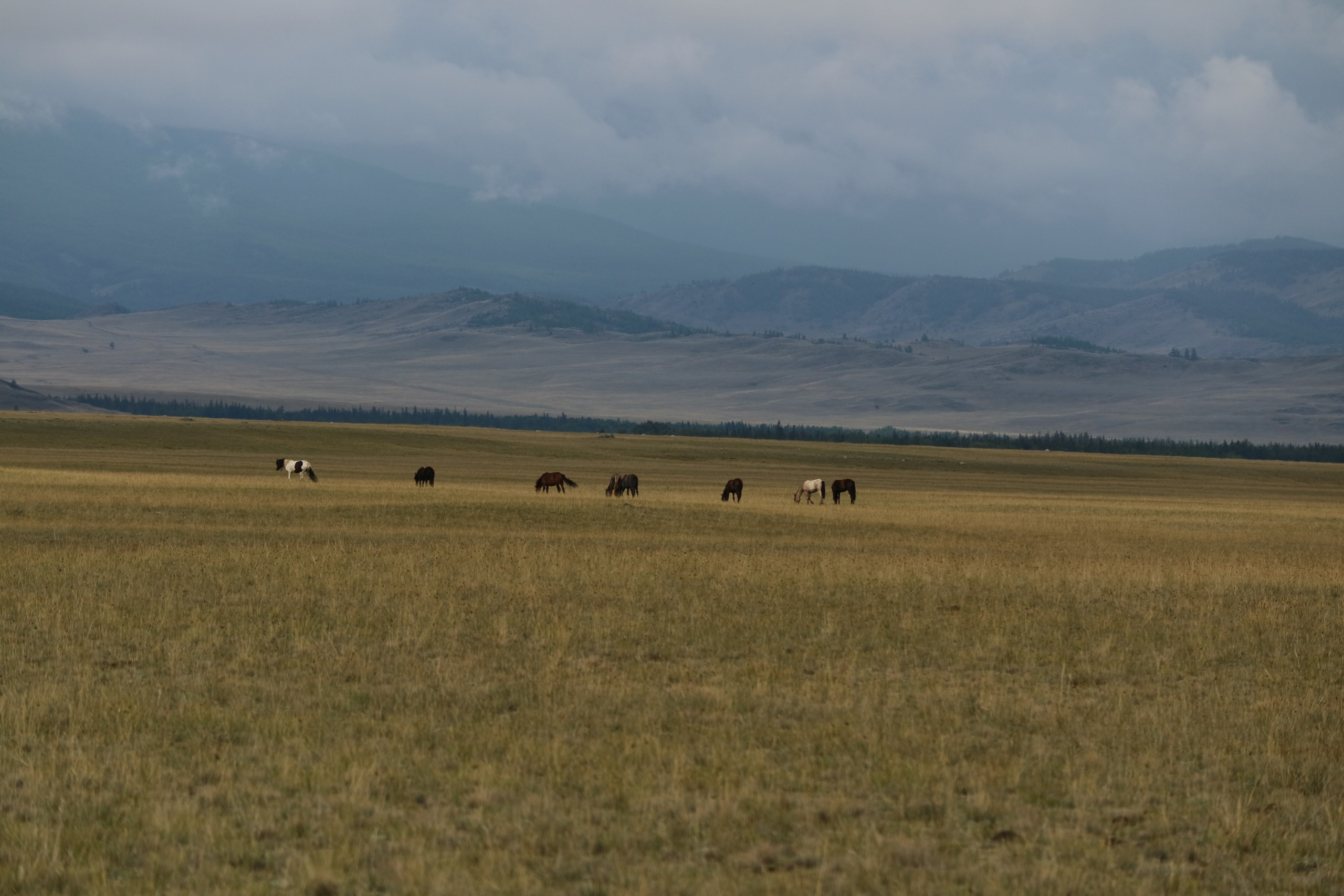 Travels. Репортажный и тревел фотограф Мокеров А.С