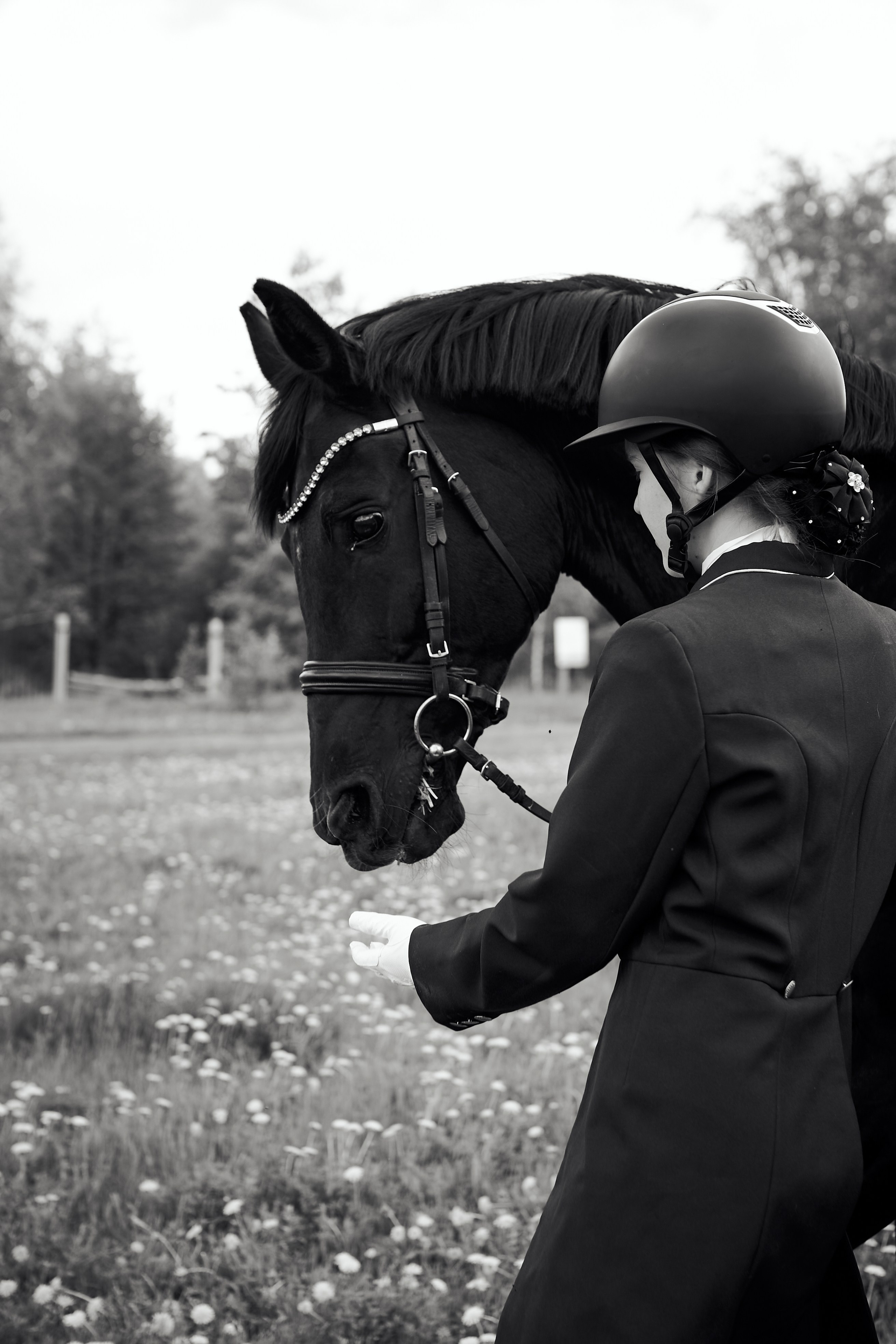 Полина и Парламент. Фотосессии с лошадьми в Москве, Новосибирске