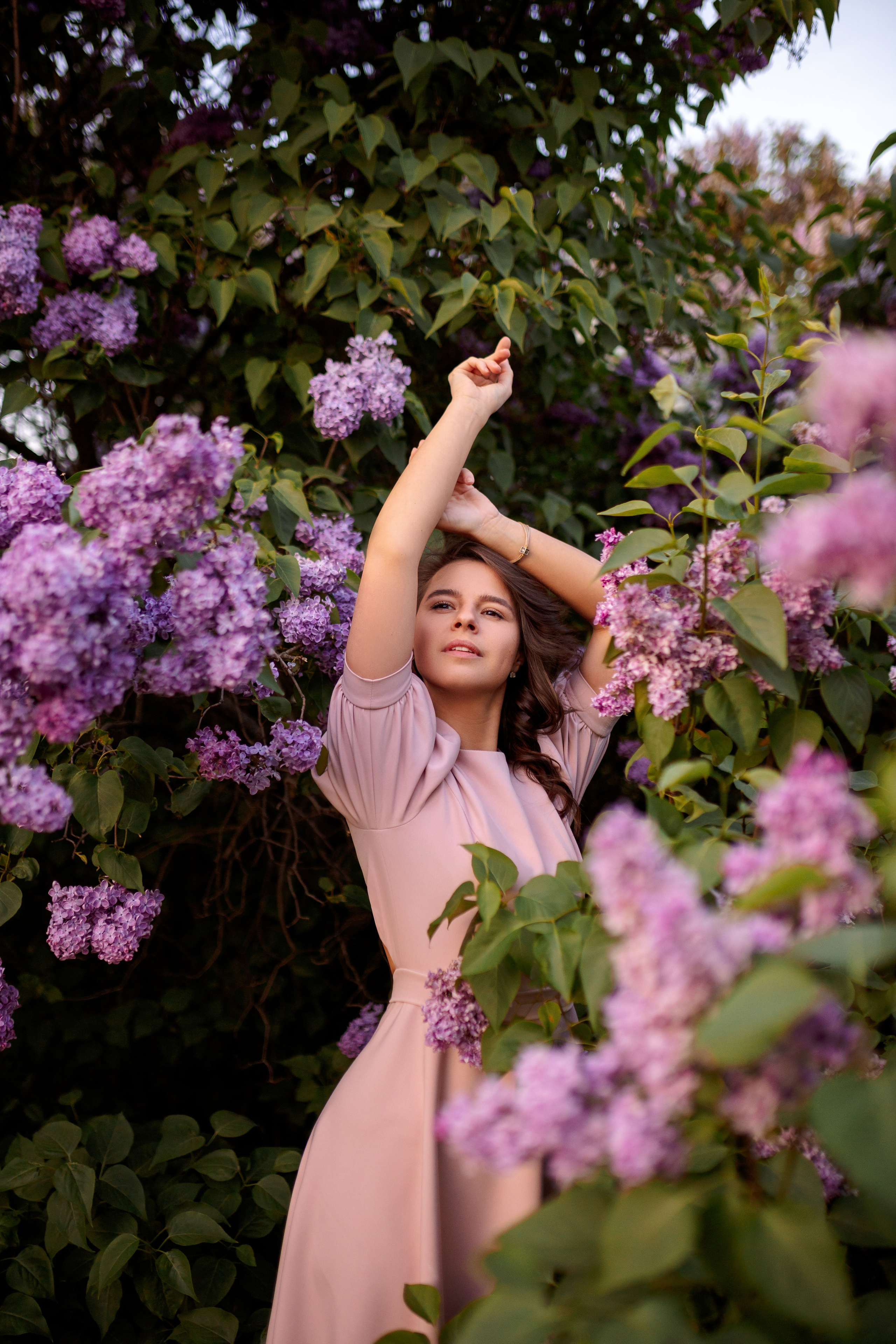 Цветение в сиреневом саду. Главная