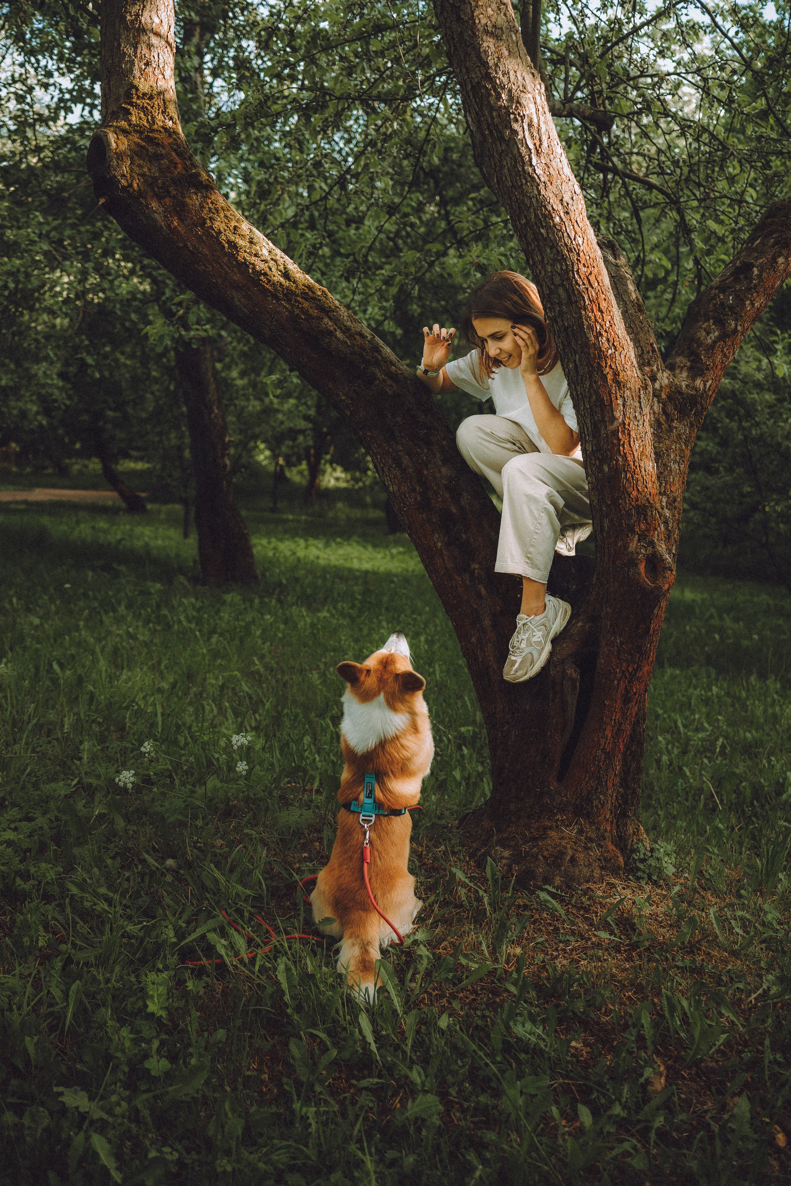 Вирджик и его семья