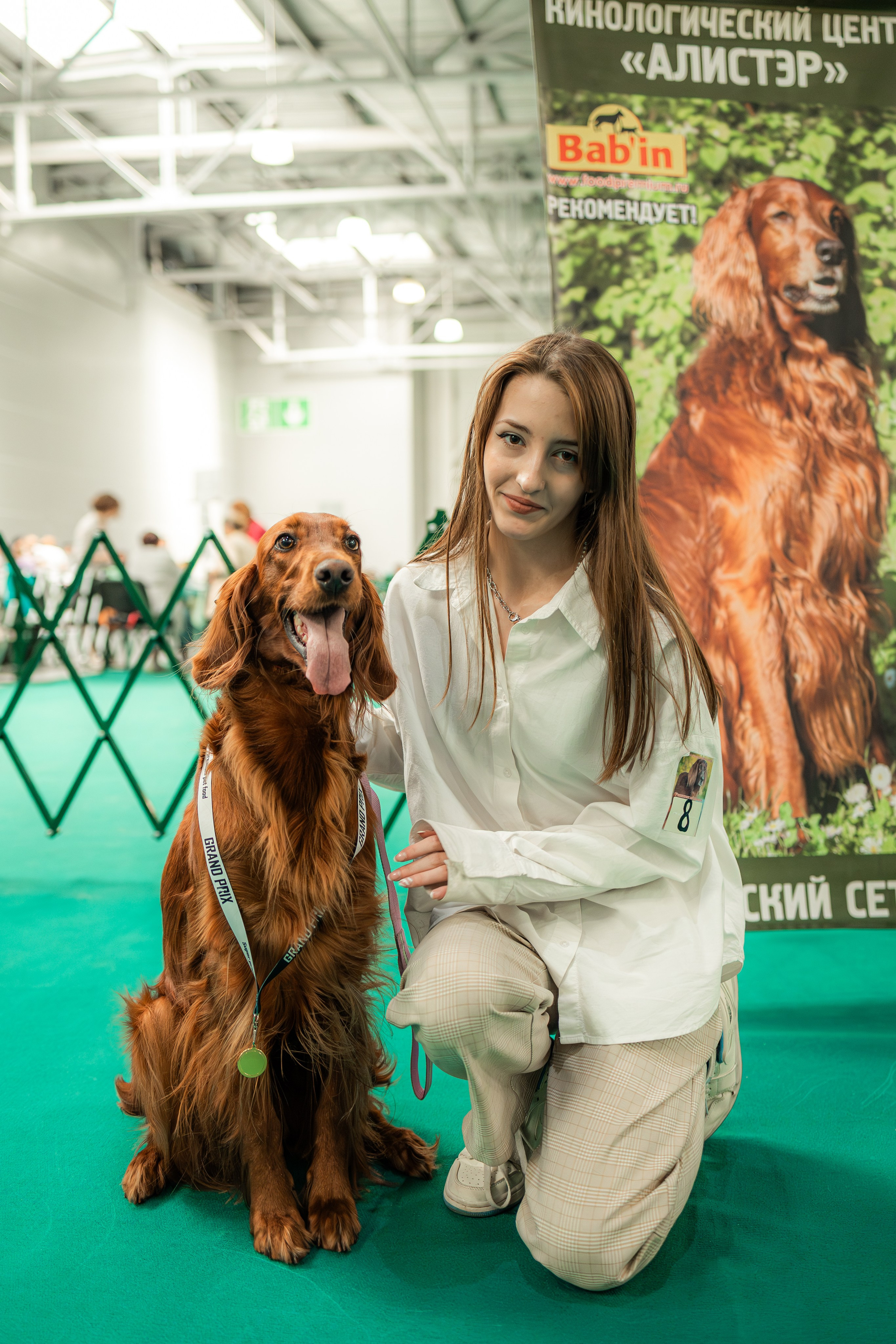 Выставка сеттеров 19.05.24