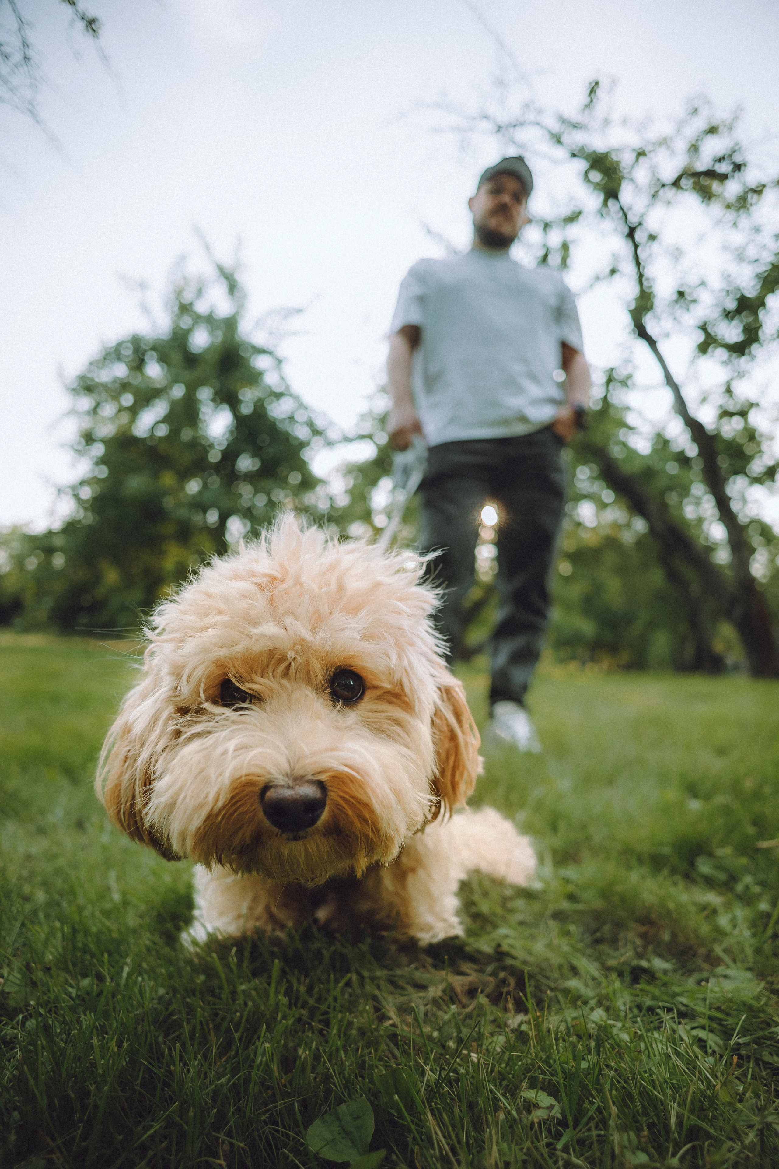 Фред и его семья