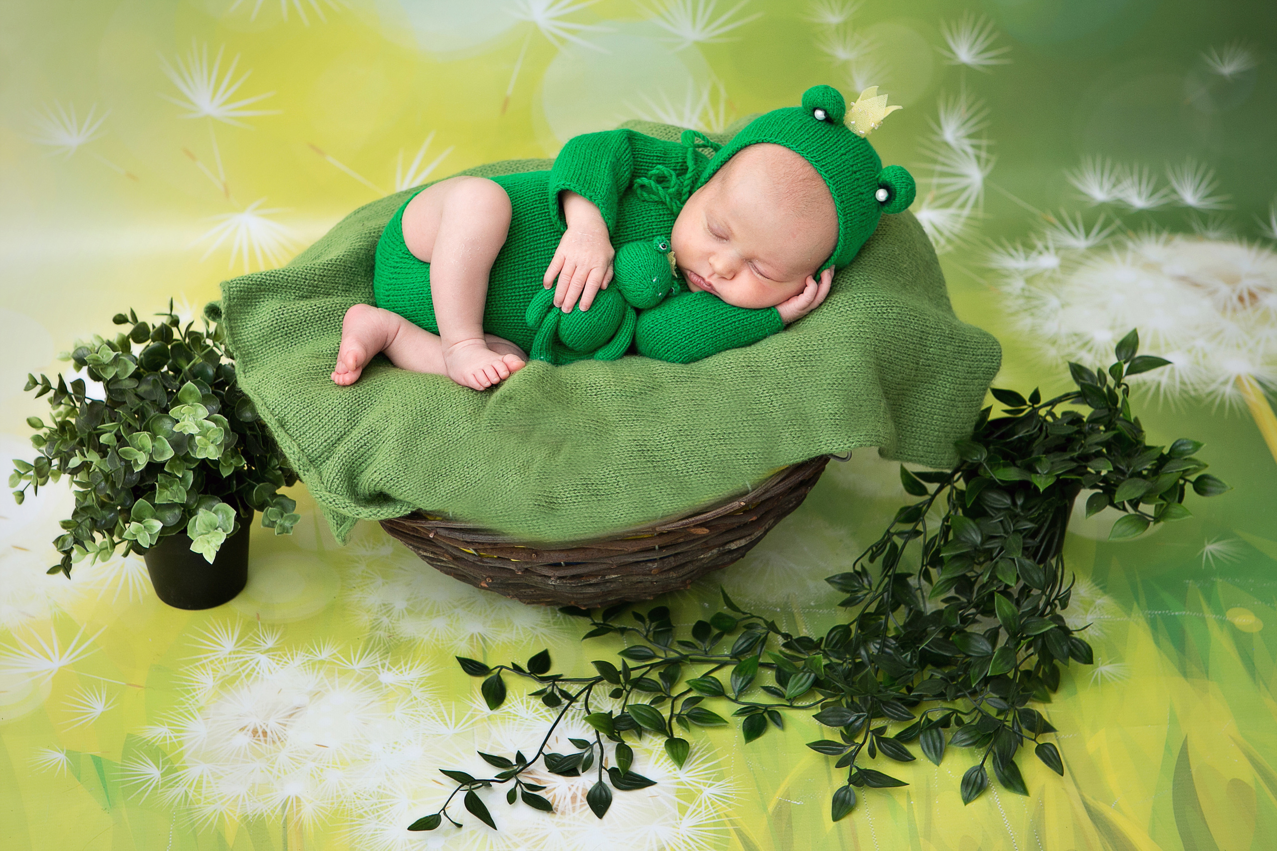 Новорожденные. Семейный, детский, newborn фотограф Москва,Московская обл Алла Риэр