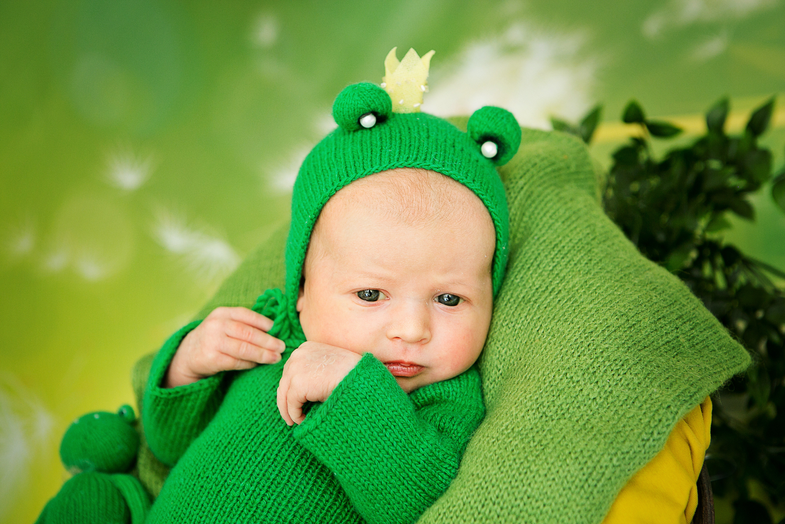 Новорожденные. Семейный, детский, newborn фотограф Москва,Московская обл Алла Риэр
