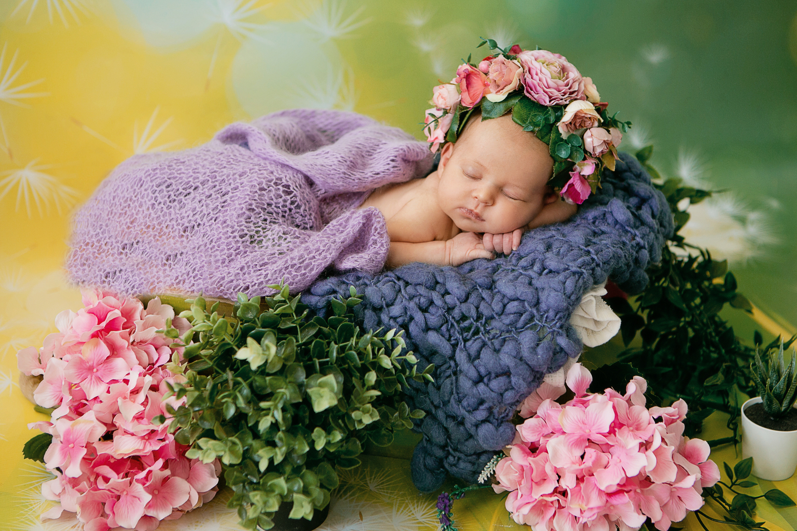 Новорожденные. Семейный, детский, newborn фотограф Москва,Московская обл Алла Риэр