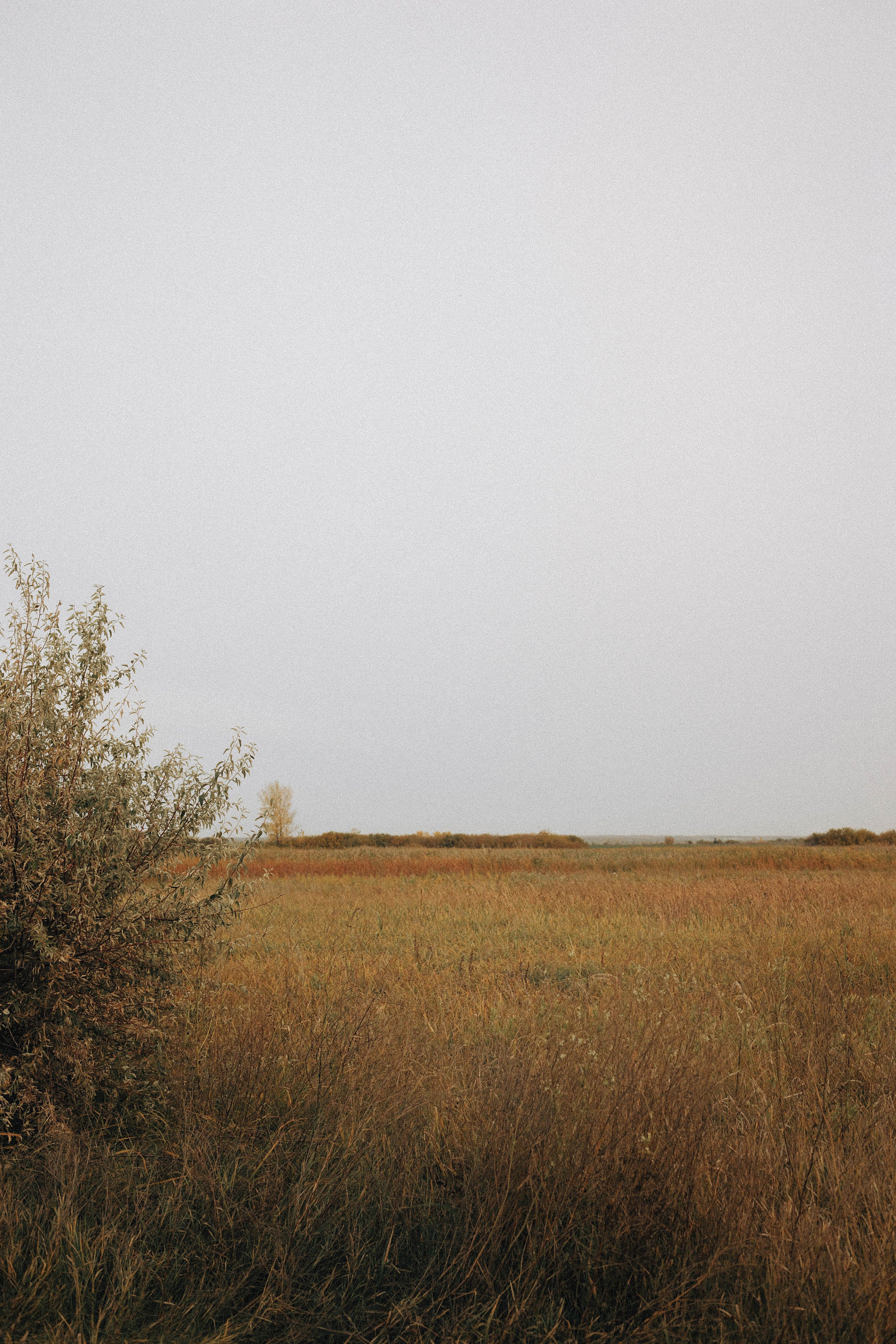 Где-то в поле. Свадебный и семейный фотограф в Самаре Стрельникова Ирина