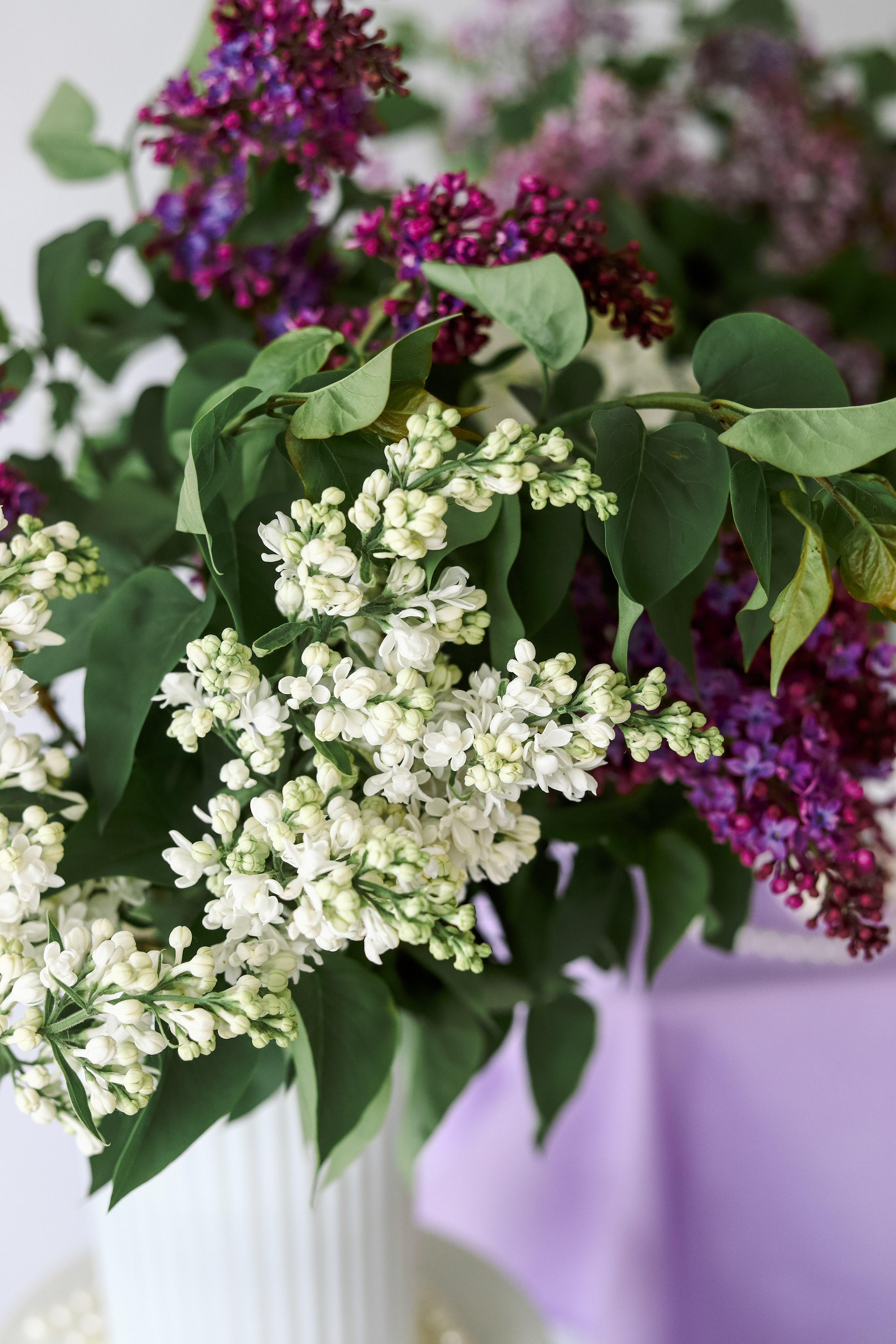 Фотодень в зале «Caramel» в цветущей сирени c кроликом. Фотостудия LIGHT в Люберцах