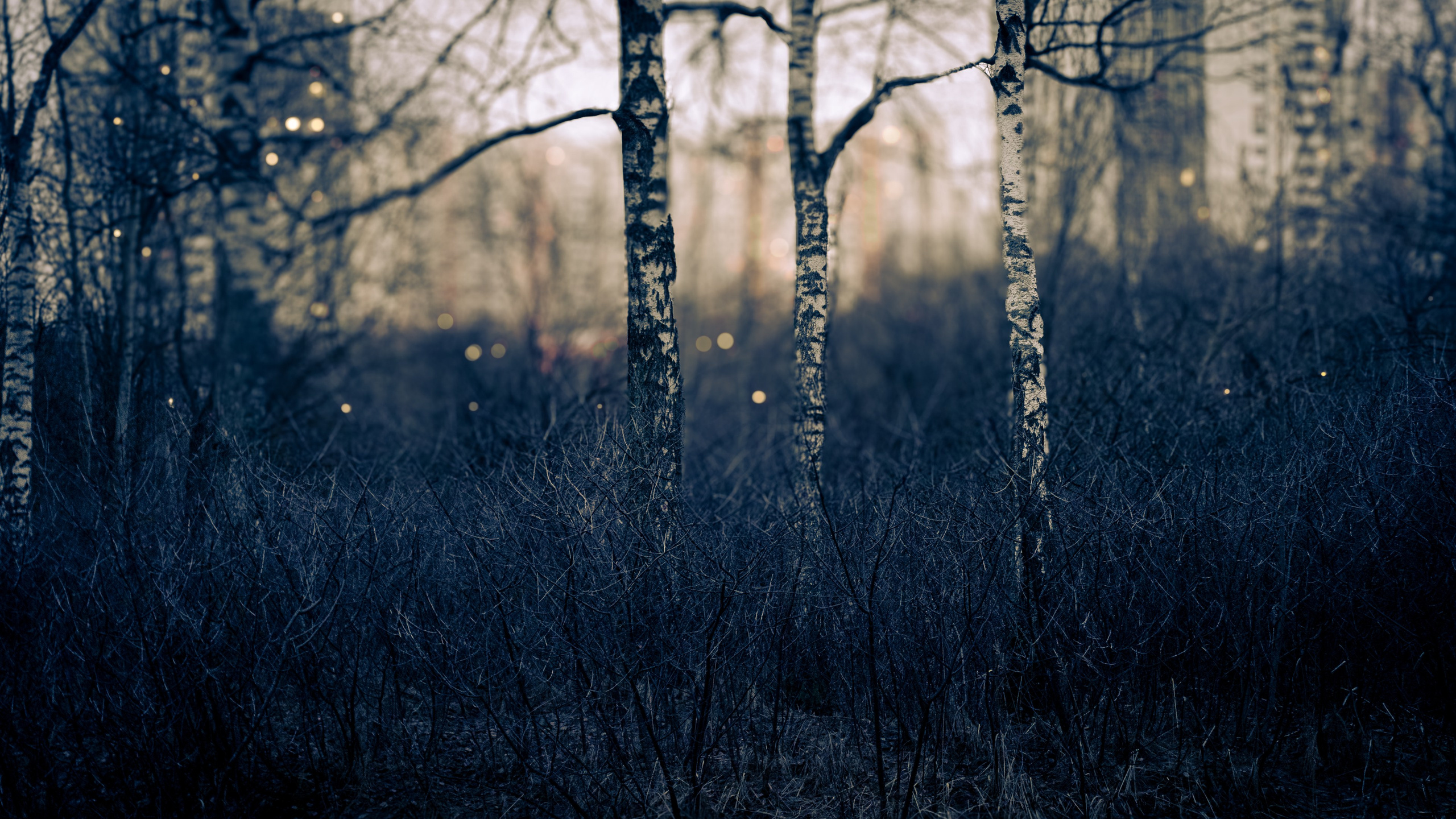 Сырость января 25-го. ПОБУДЬ ЗДЕСЬ И ЦЕЛЕЕ БУДЕТ ЭТОТ МИР