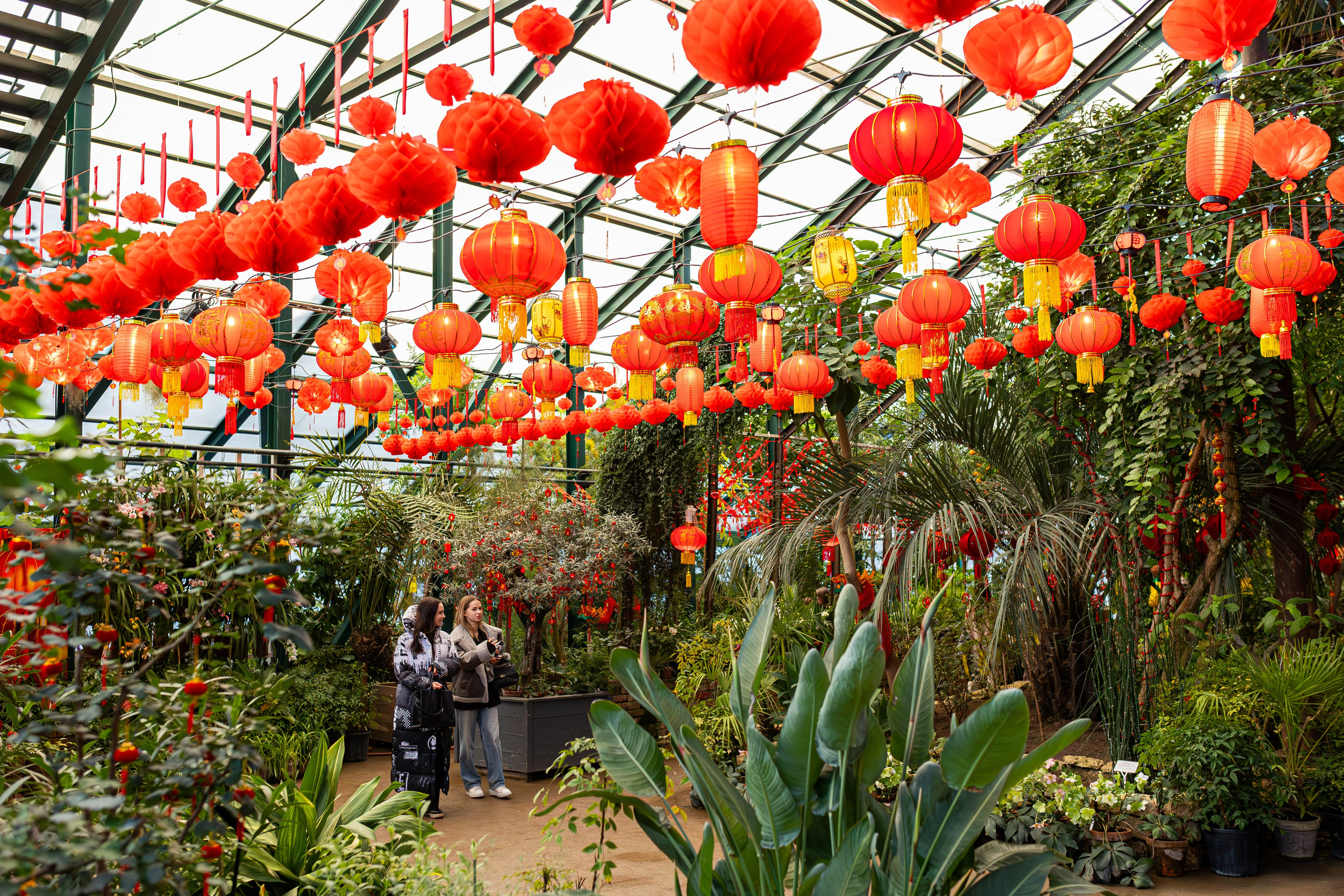 Аптекарский огород МГУ. Китай. Александра Куликова фотограф, Москва