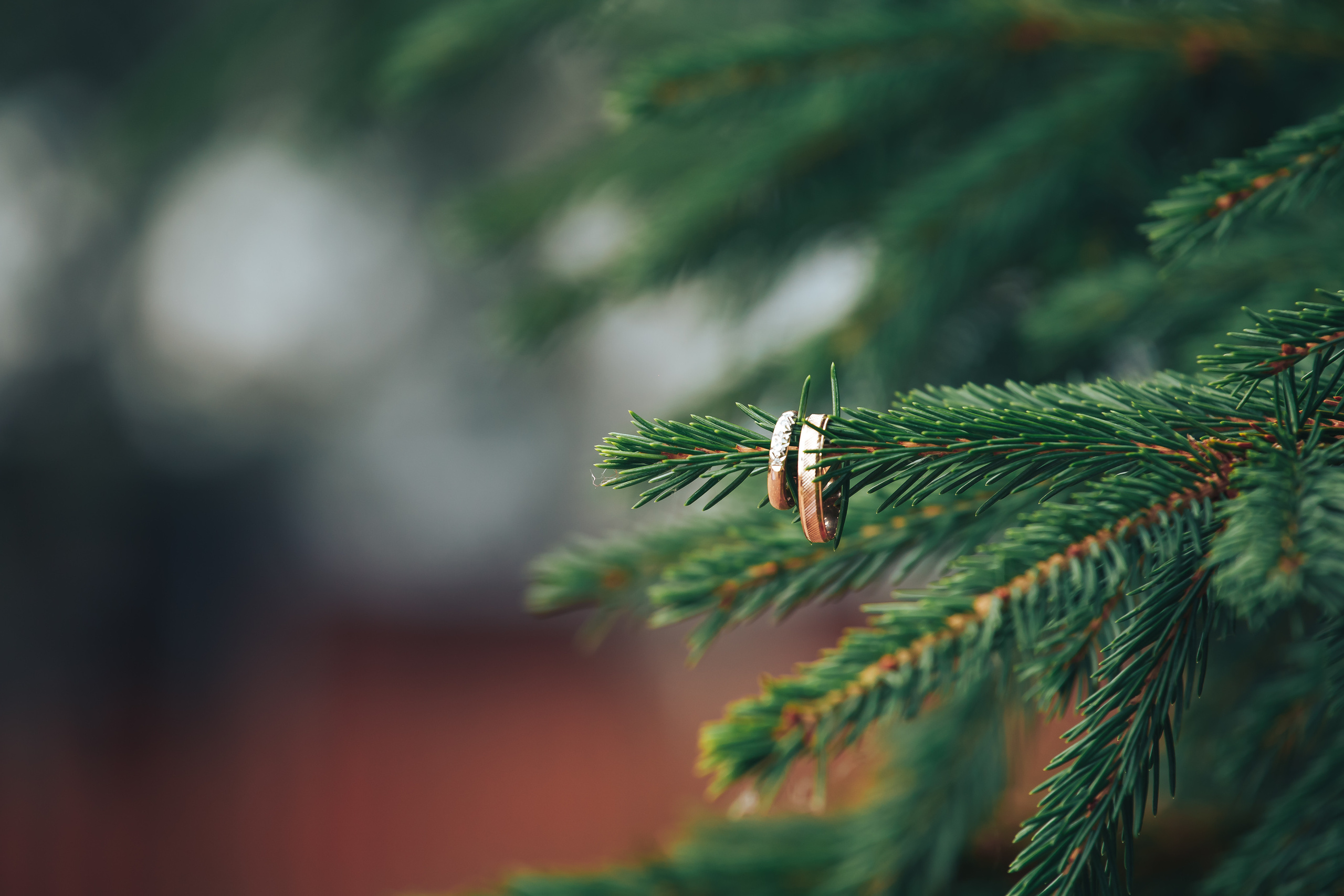 Свадьбы. Портретный фотограф Москва Евгений Ников