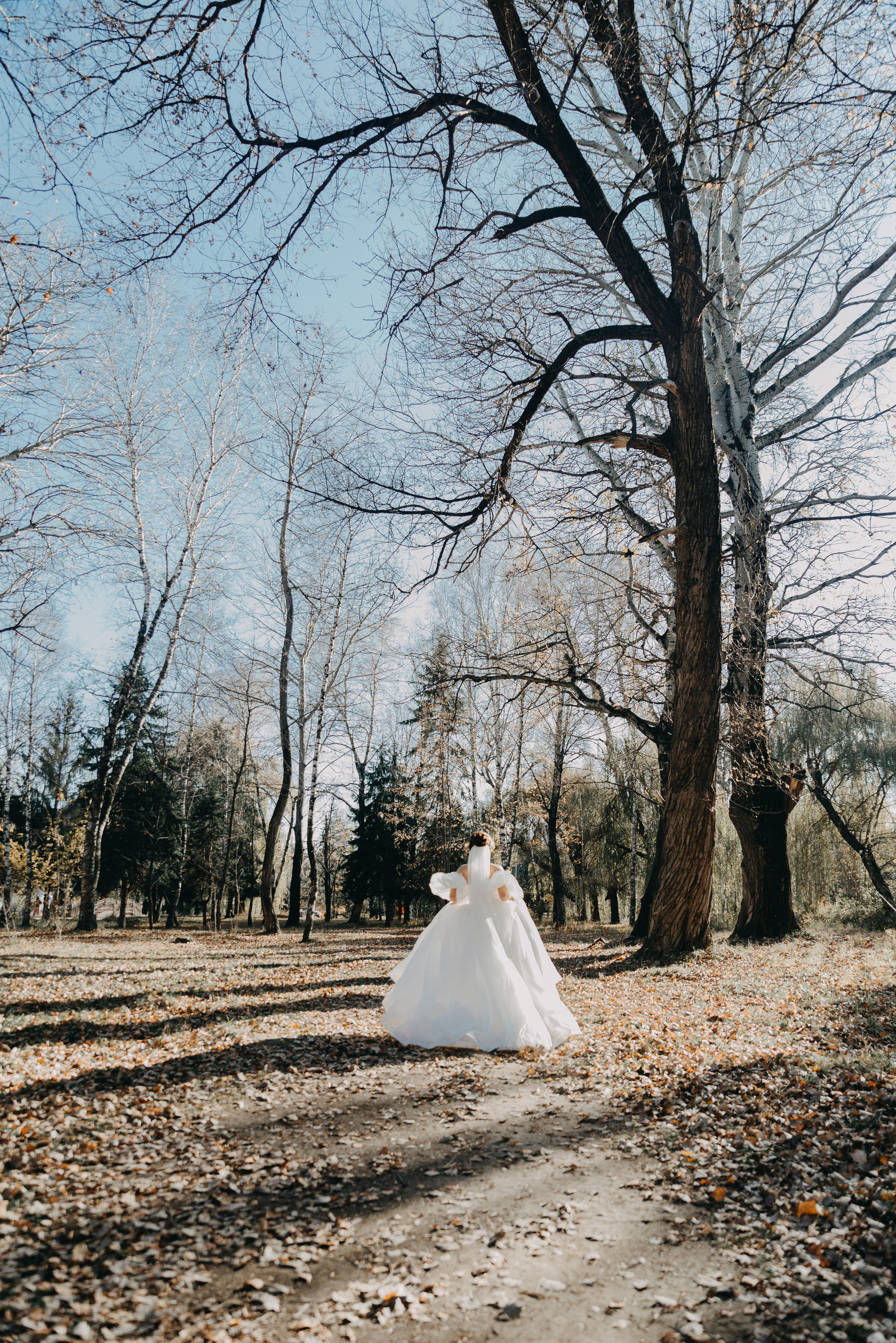 Свадебные съёмки. Фотограф Диана Семенова