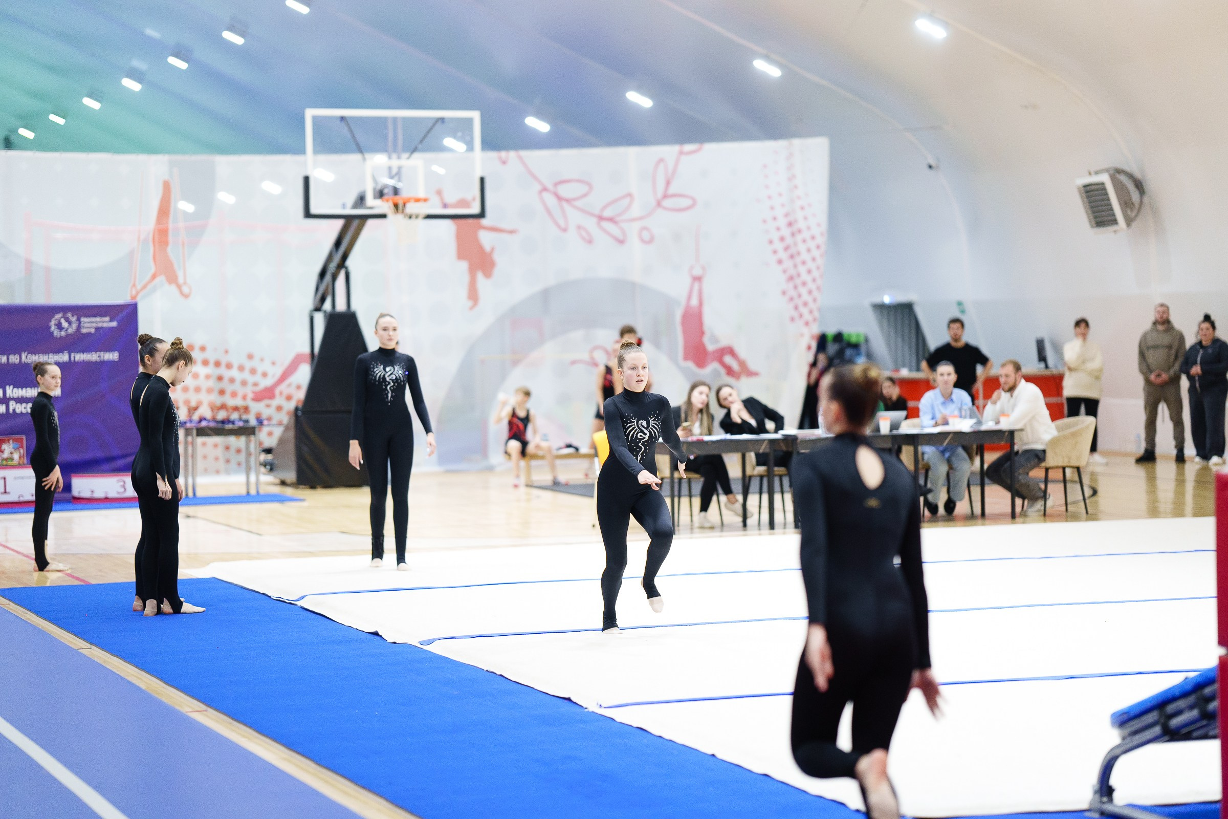 Гимнастика. Фотограф Москва