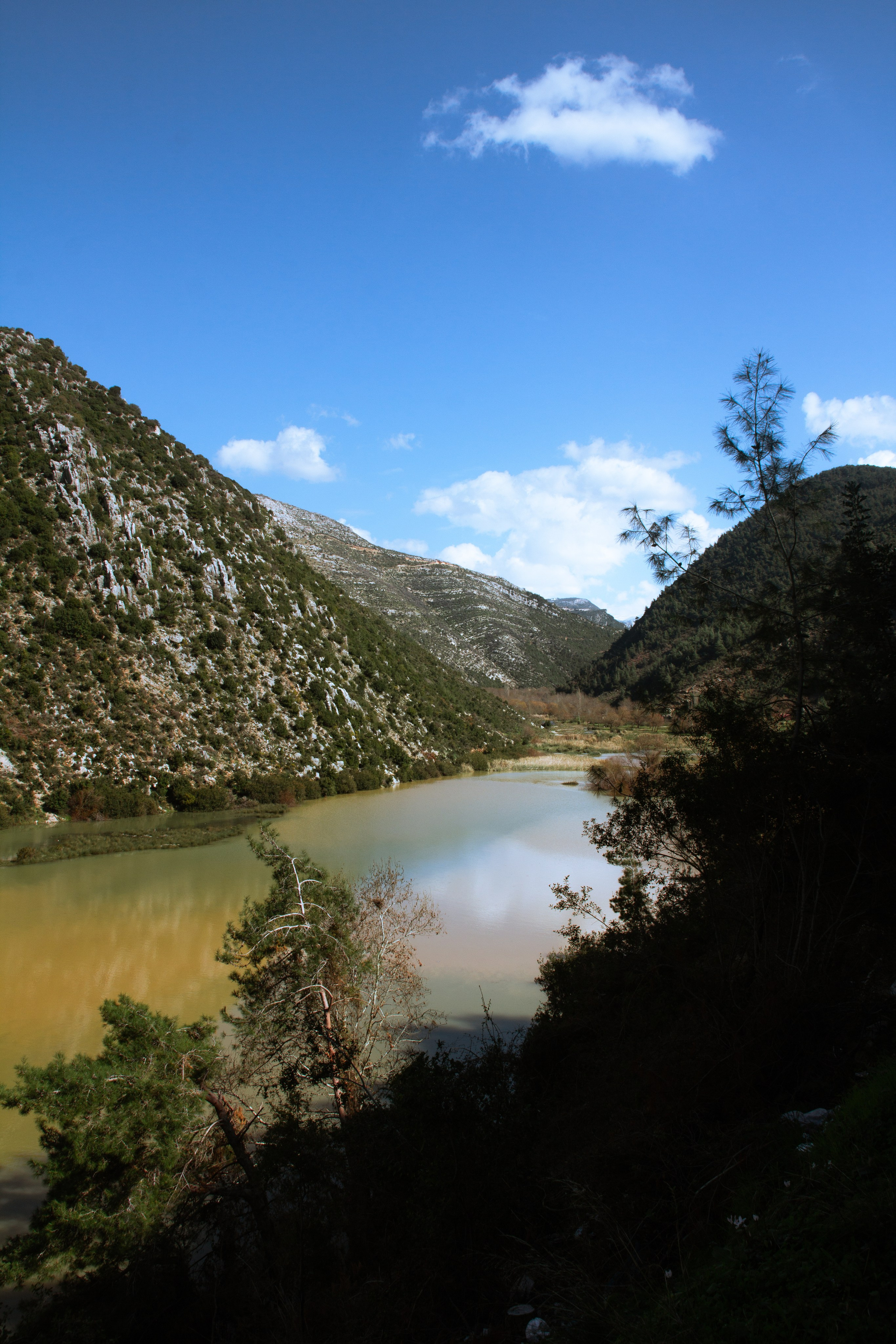 Природа. Фотограф Котий Даниил