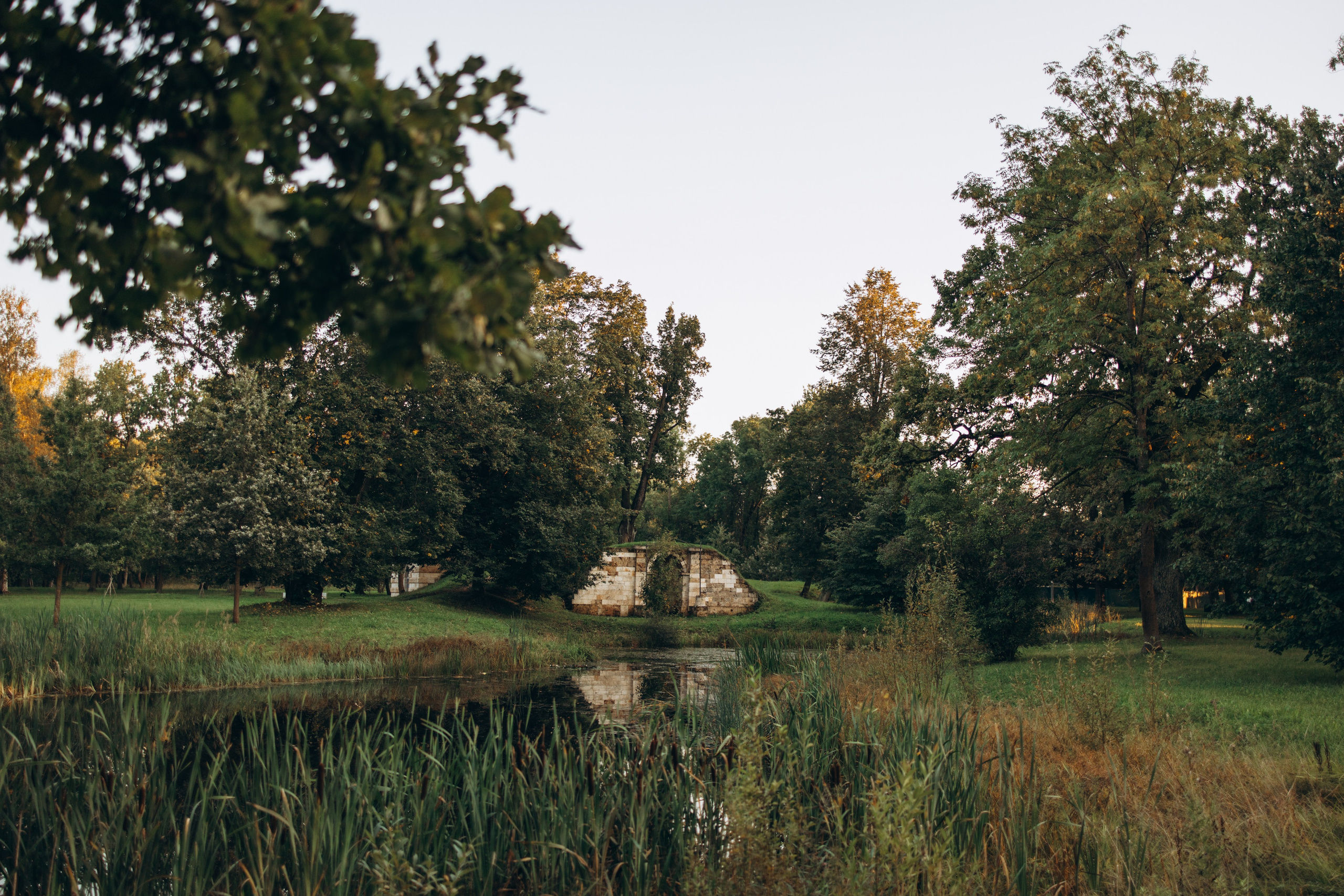 Олеся и Луи. Фотограф — Анималист | Санкт-Петербург