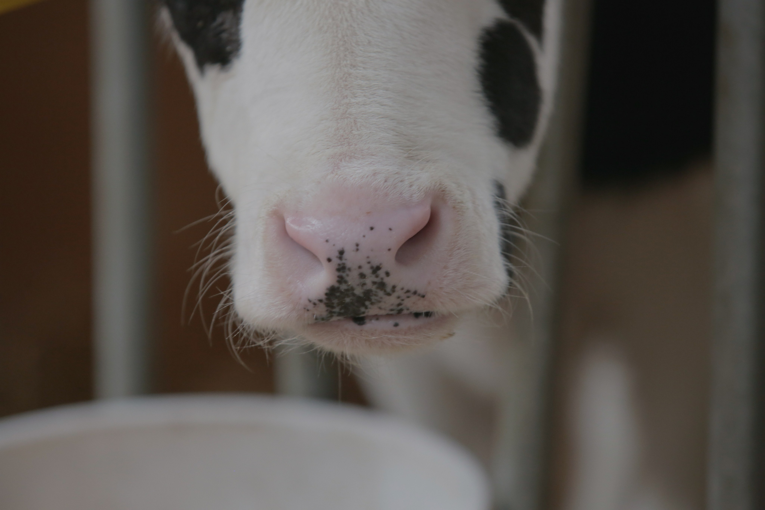 Промышленная фотография. Artur Photography