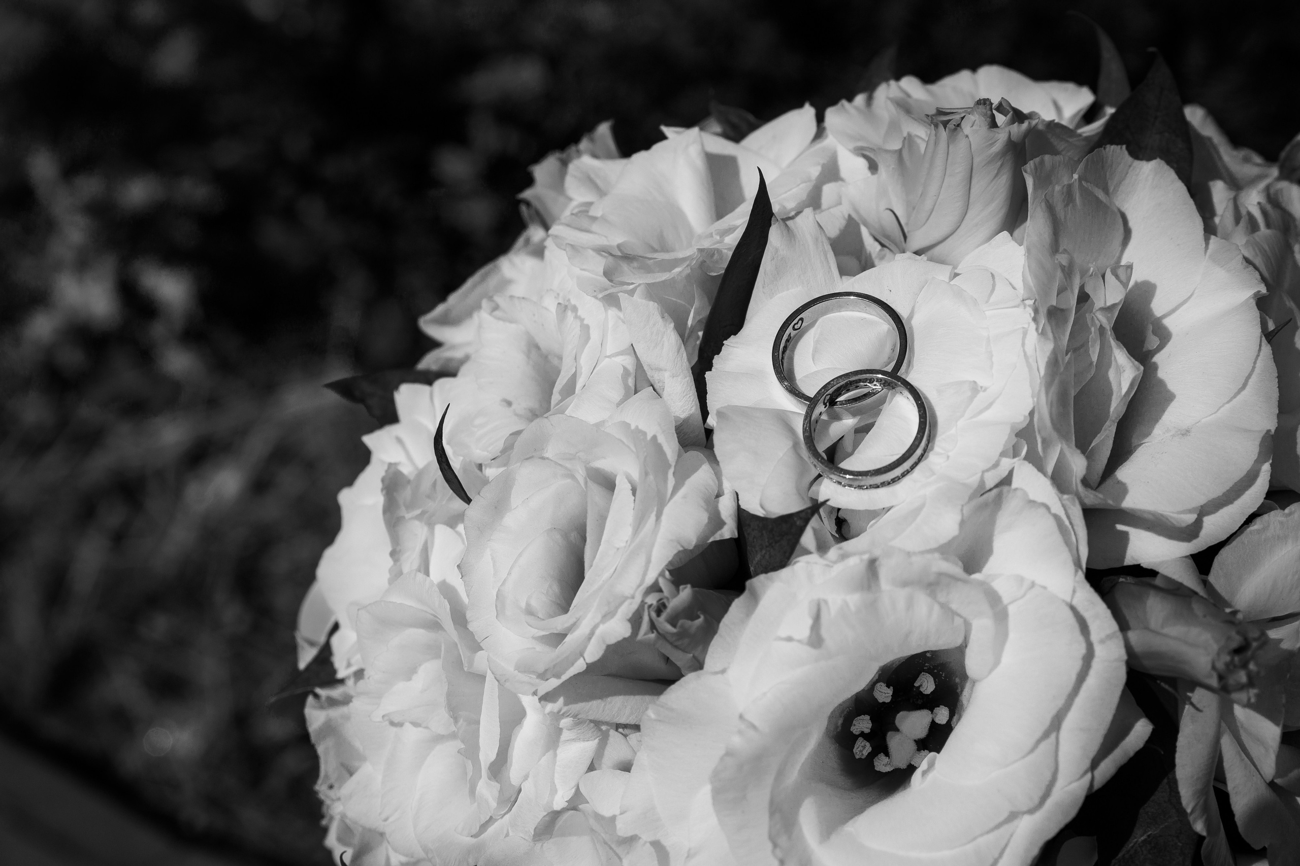 Свадебный фотограф в Крыму Алексей Карасёв