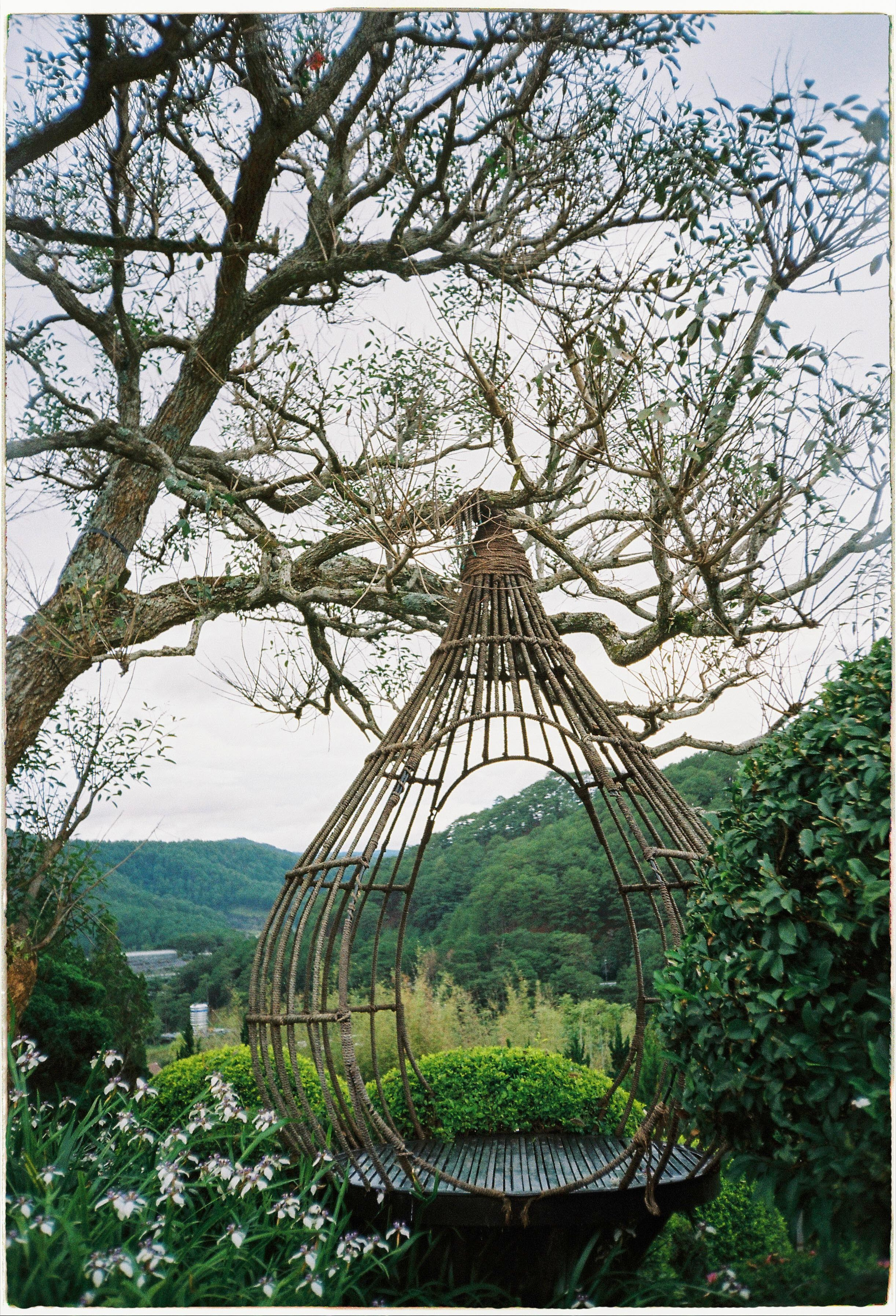 Que garden. Film Photographer in Da Nang, Vietnam — Tanya Parfenteva